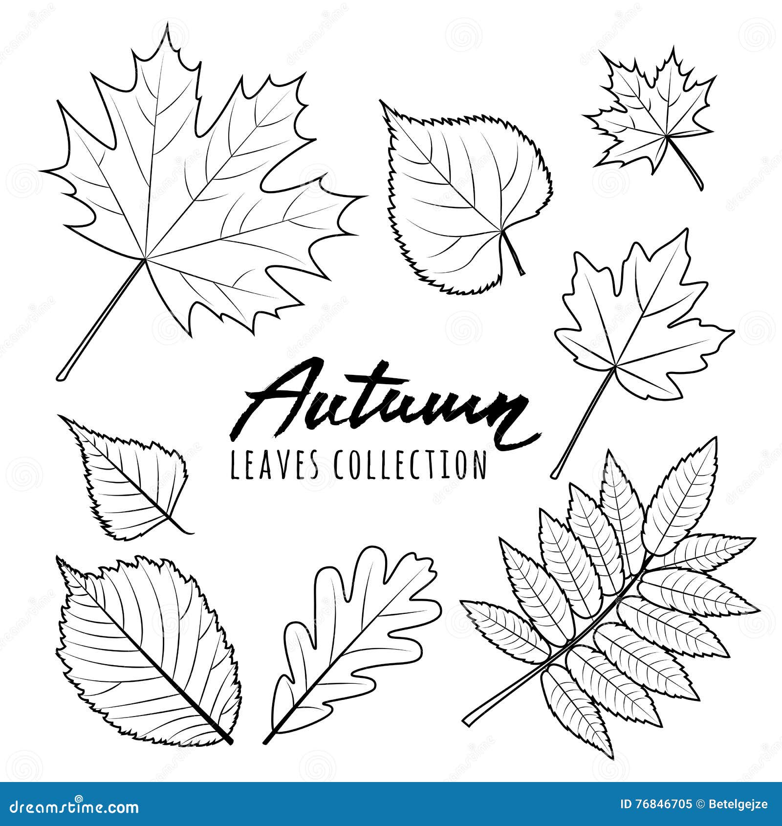 14 Autumn Leaves Design – Only $5 - MasterBundles