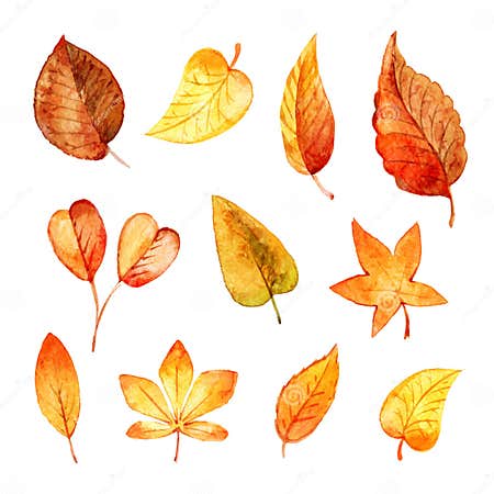 Set Autumn Leaves Watercolor. Stock Vector - Illustration of autumn ...