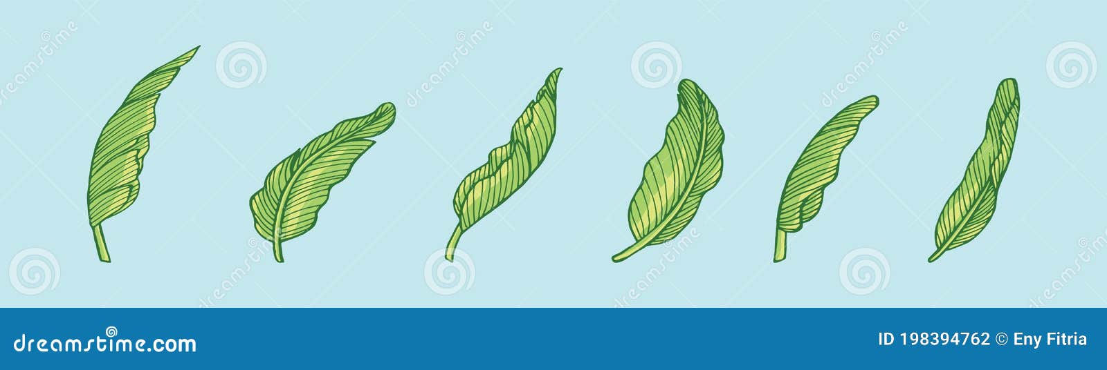 Set of Banana Leaf Cartoon Icon Design Template with Various Models. Vector Illustration Isolated on Blue Background Stock Vector - Illustration of botanical, decoration: 198394762 Set of Banana Leaf Cartoon Icon Design Template with Various Models. Vector Illustration Isolated on Blue Background Stock Vector - Illustration of botanical, decoration: 198394762