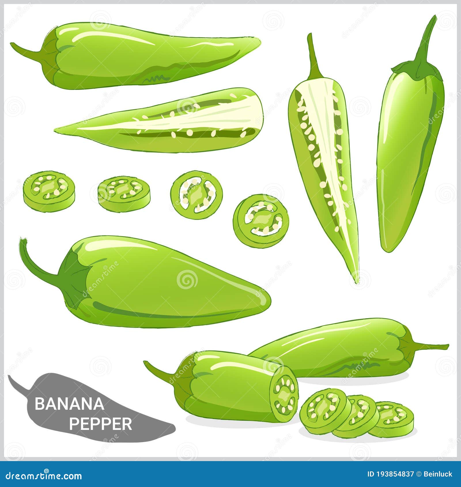 Set of Banana Pepper Illustration in Various Styles Vector Format Stock