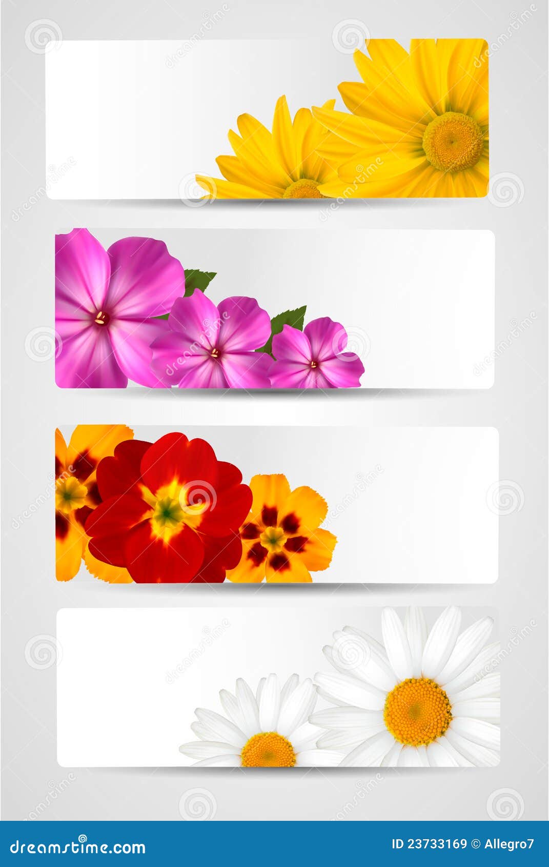 Set of Banners with Different Colorful Flowers Stock Illustration