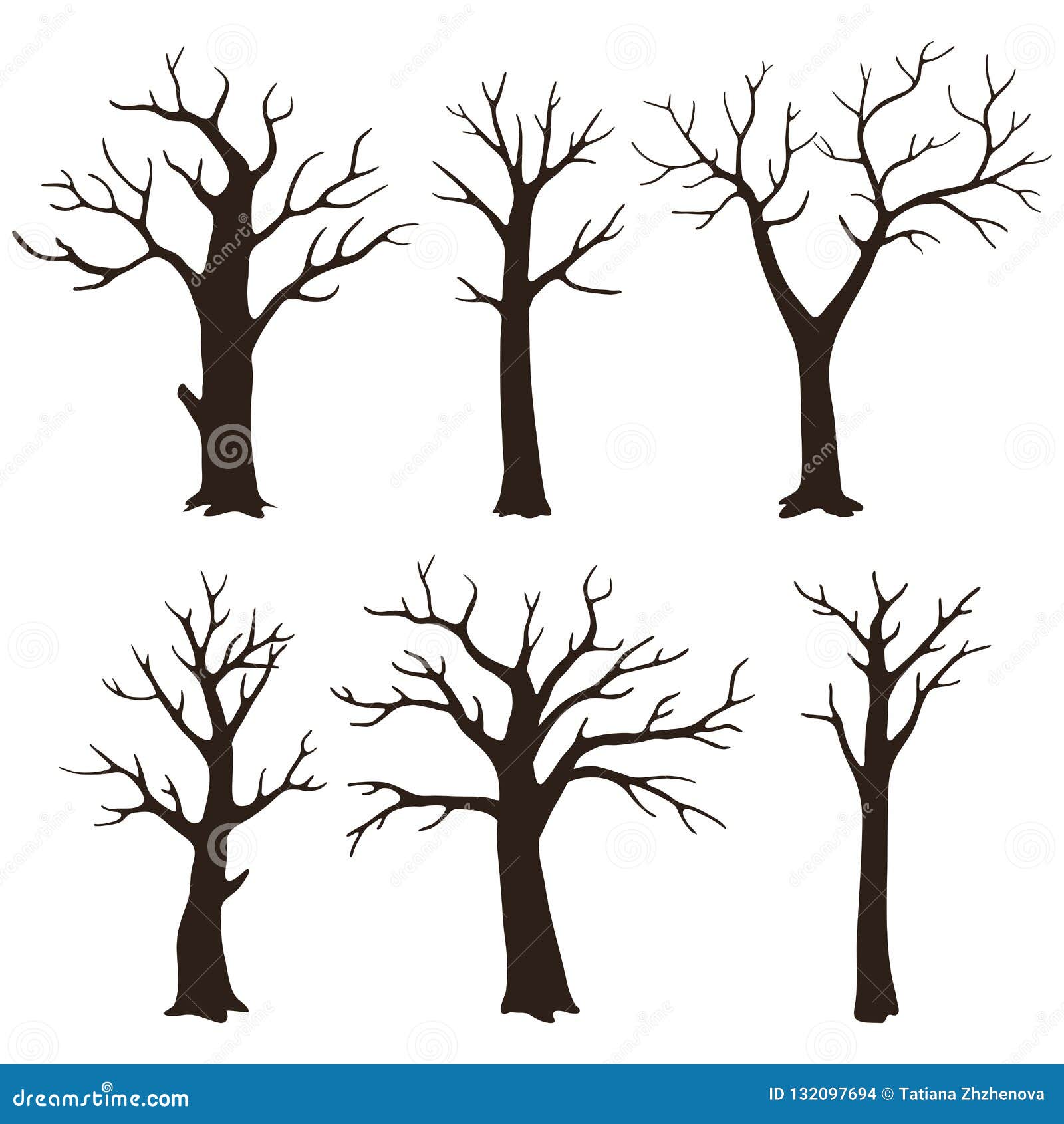 Set of Bare Tree Silhouettes with Leafless Branches Isolated on a White