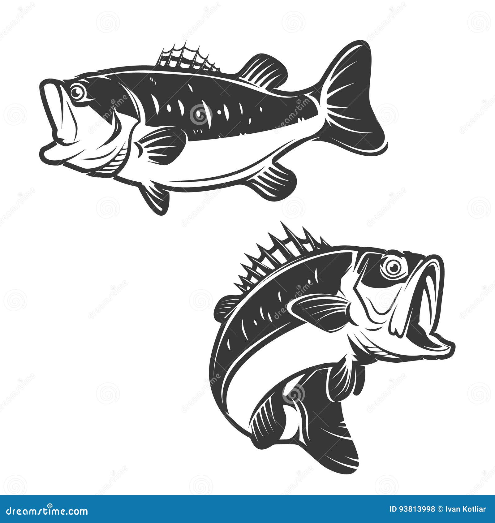 Fish tattoos - Fly Fishing - Maine Fly Fish