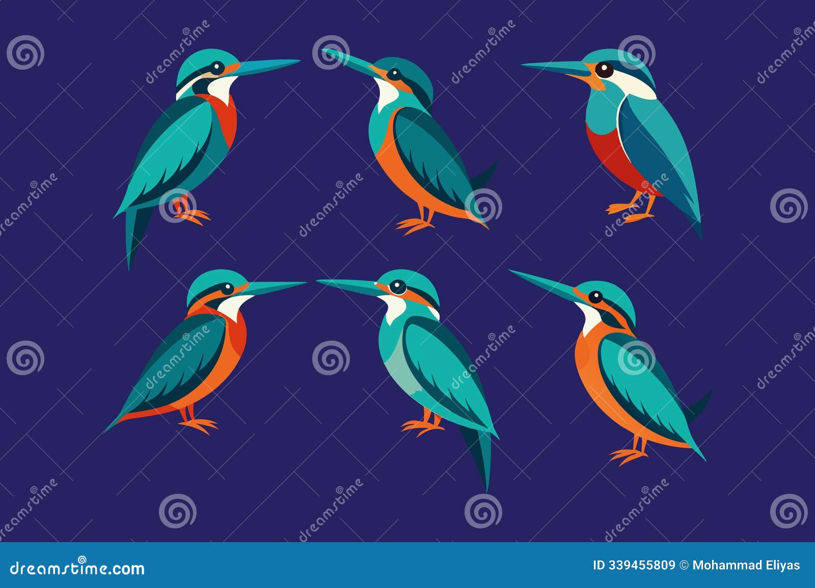 a set of beautiful bird kingfishers  