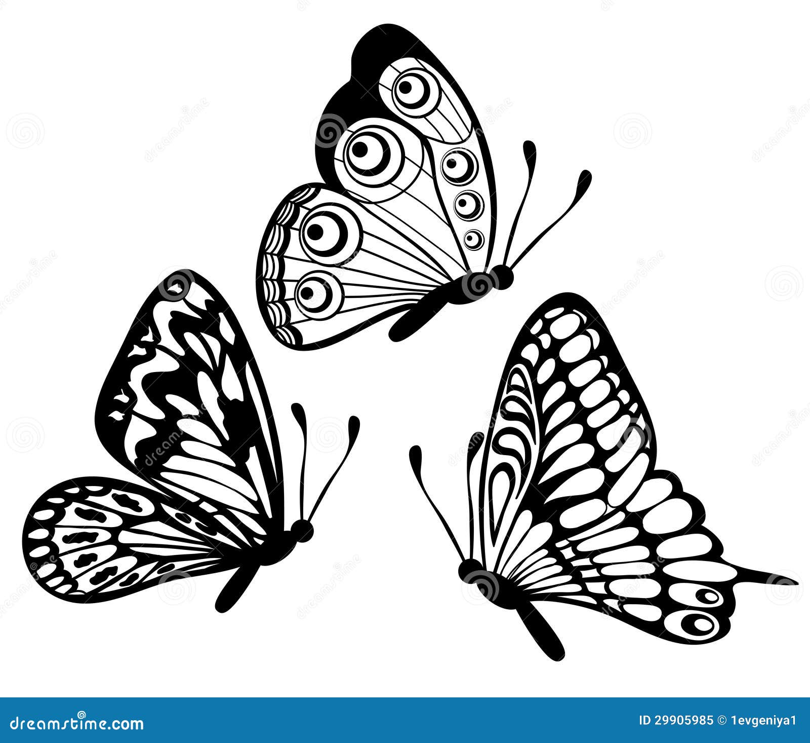 Set with white butterflies Royalty Free Vector Image