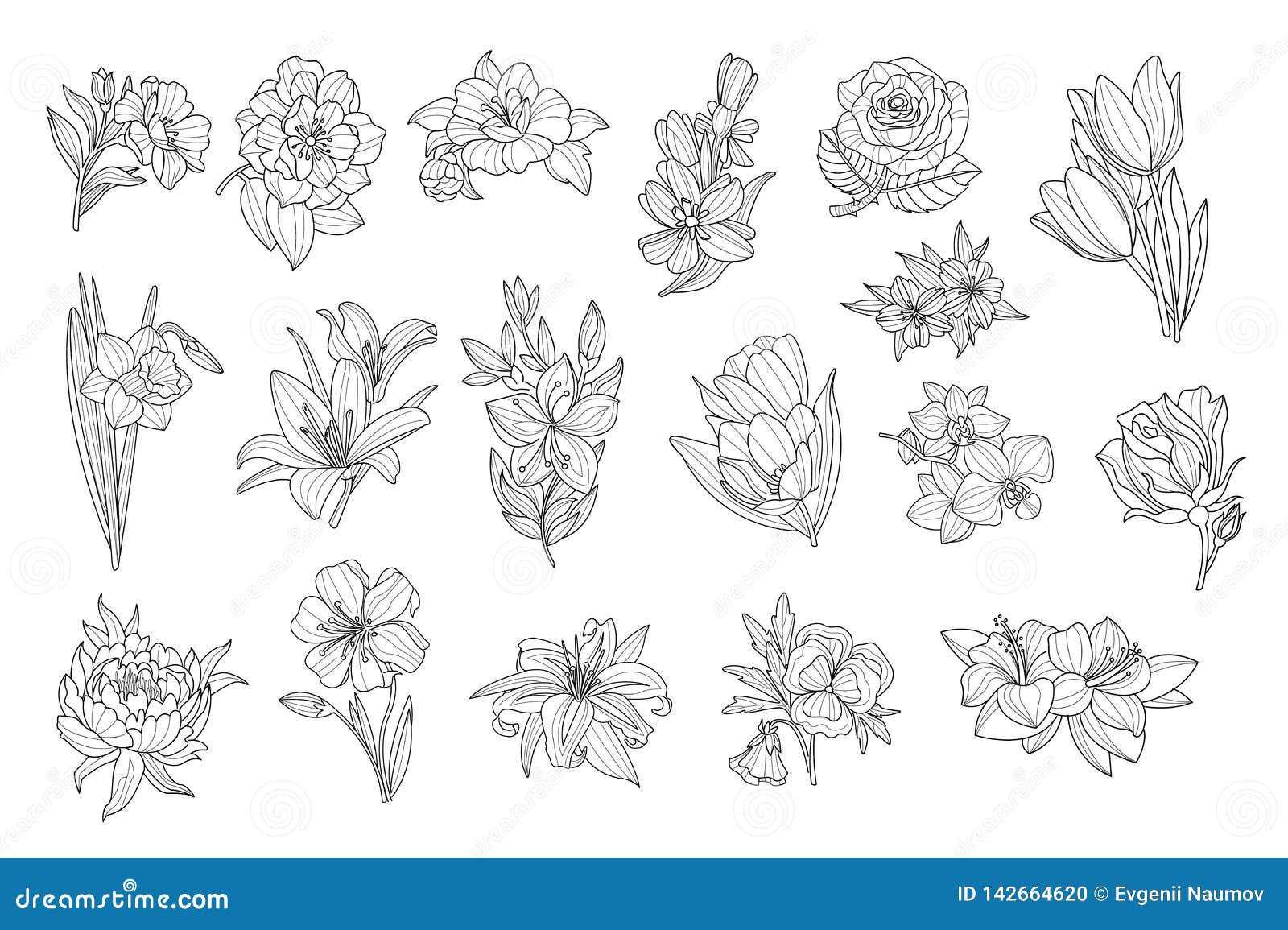 daffodil tattoo black and white  Clip Art Library