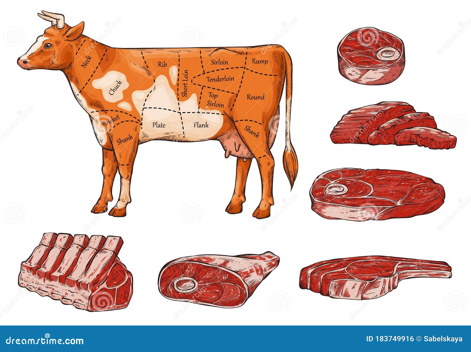 Set Of Beef Meat And Steaks Slices And A Cow Stock Vector Illustration Of Butchery Domestic 183749916