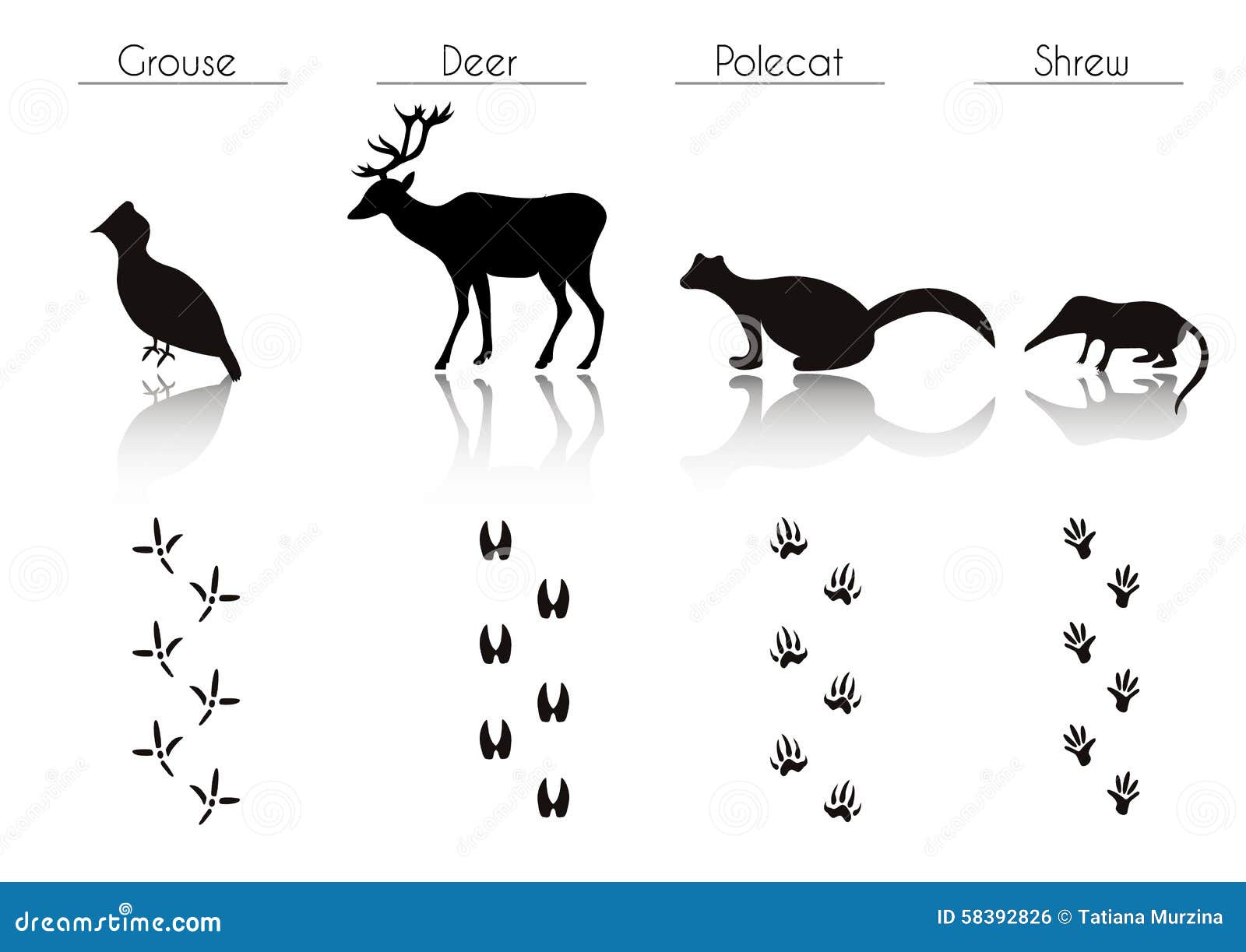 blackforest animal s blackforest animal s