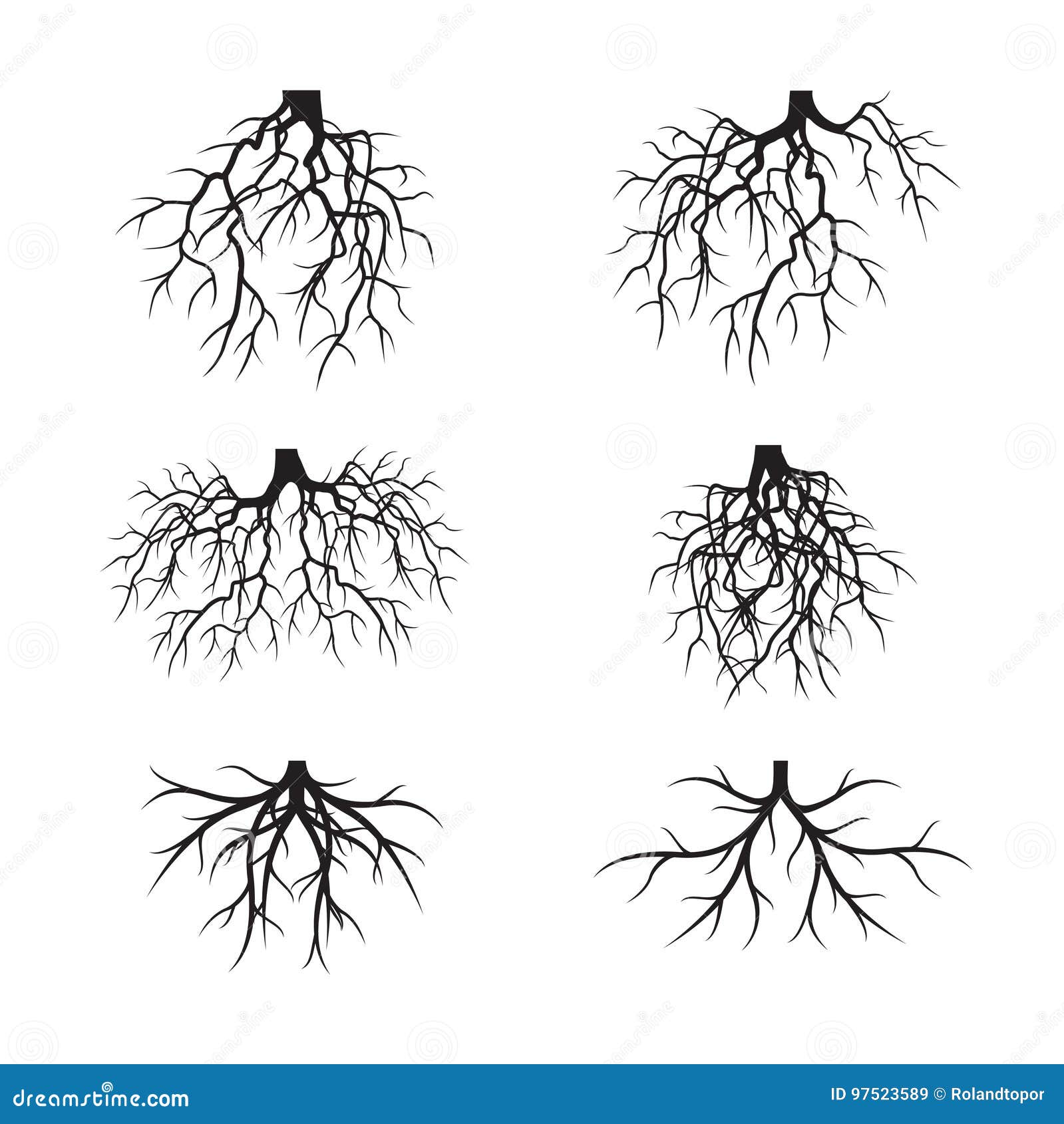 Root element. Корень чёрно белый. Растение с корнями на черном фоне. Корни вектор Графика. Корни силуэт.