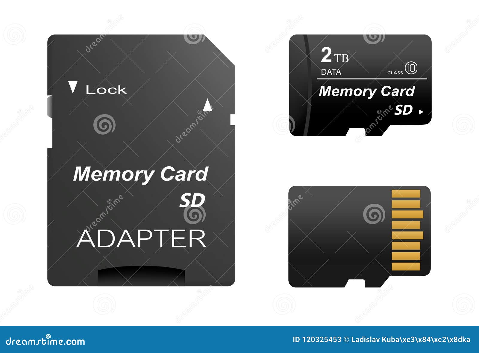 Looting cascade Discrimination Set of Black Standard 2 Tb Digital Sd Memory Cards Front and Back with Gold  Contact with Adapter for Sd Card on a White Background Stock Vector -  Illustration of electronic, computer: 120325453