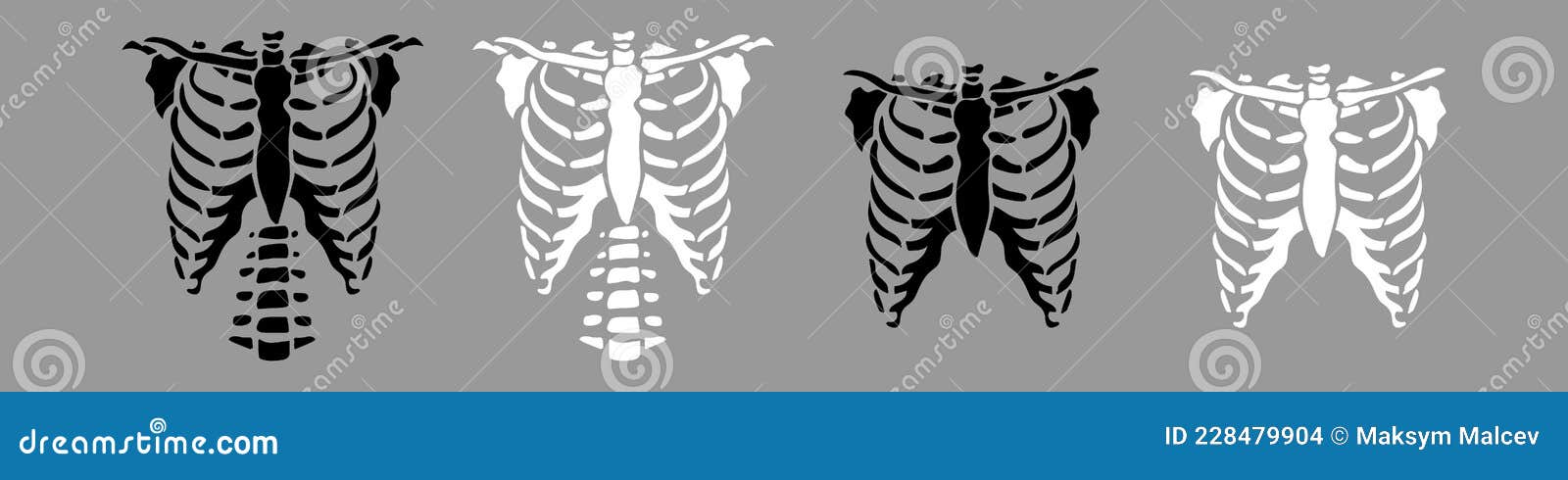 White Chest Bone. T-shirt Print For Horror Or Halloween. Hand Drawing  Illustration Isolated On Black Background. Royalty Free SVG, Cliparts,  Vectors, and Stock Illustration. Image 174540870.