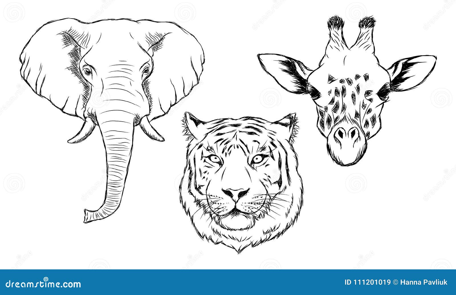 Set of Black and White Hand Drawn Wild Animals Stock Vector