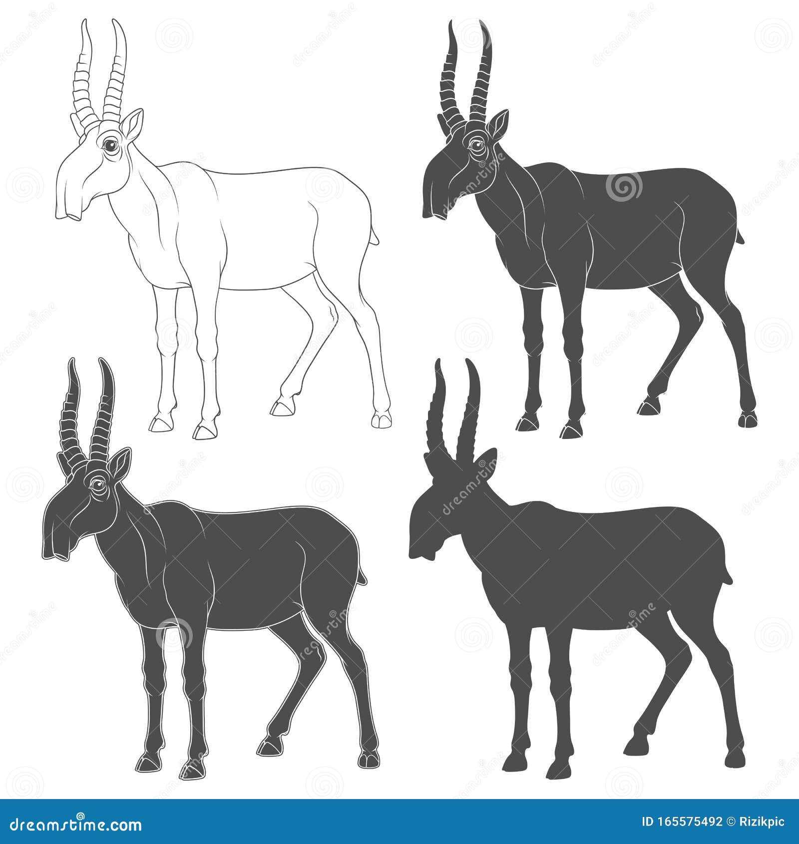 Set of Black and White Illustrations Depicting a Saiga Antelope
