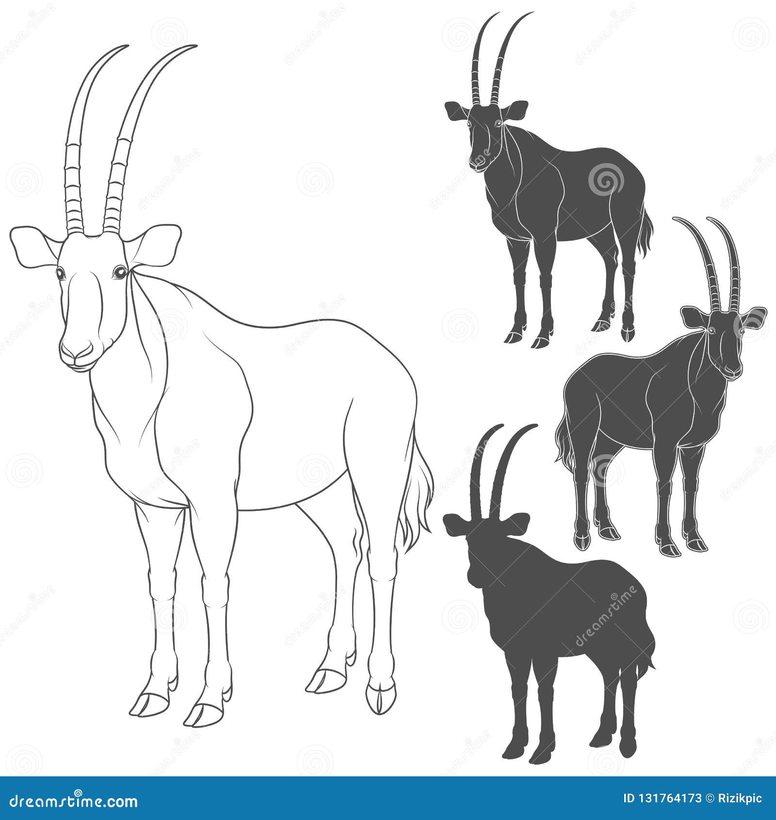 set of black and white s with oryx antelope.   objects.