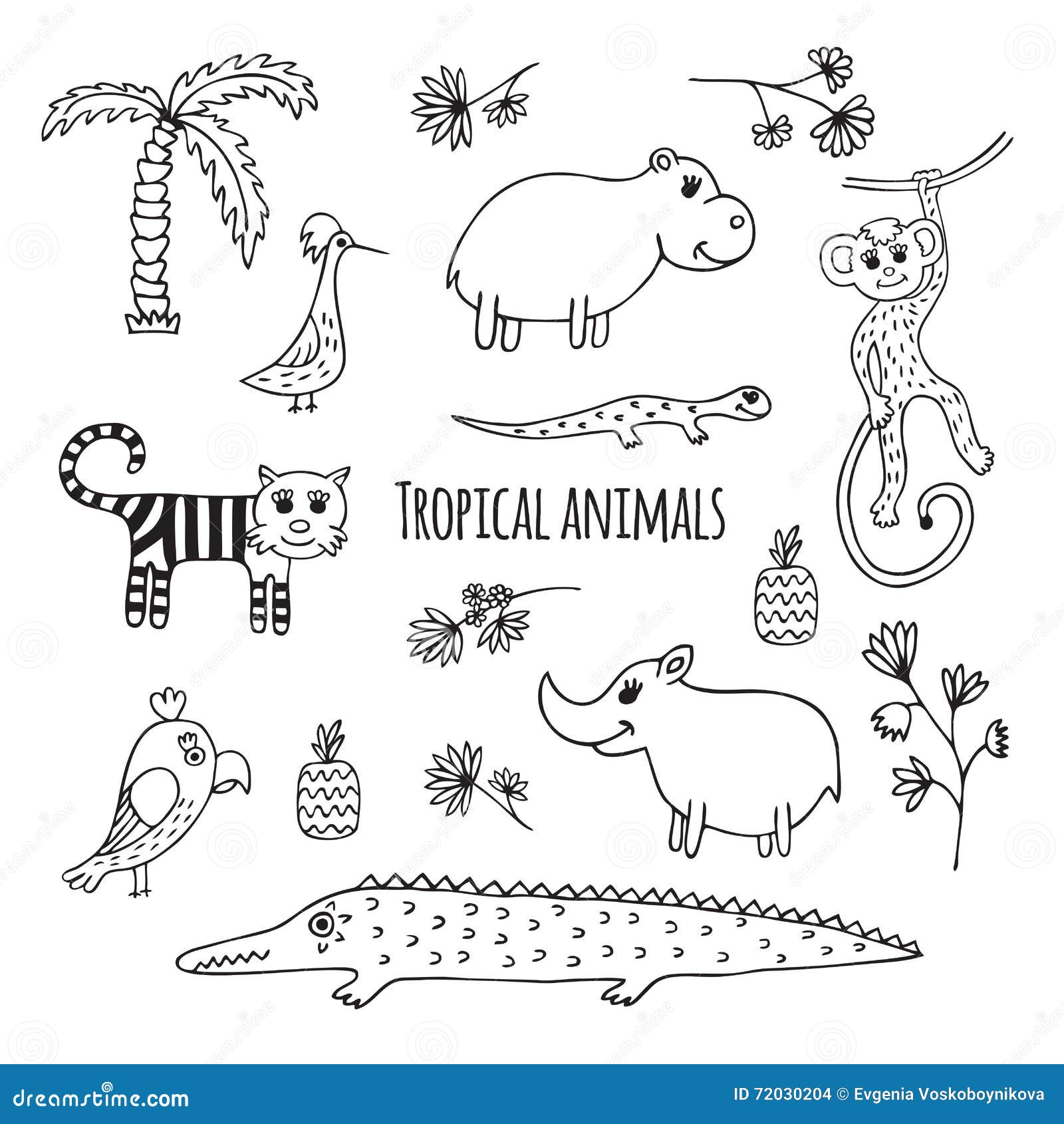 Tropical Rainforest Clipart Black And White