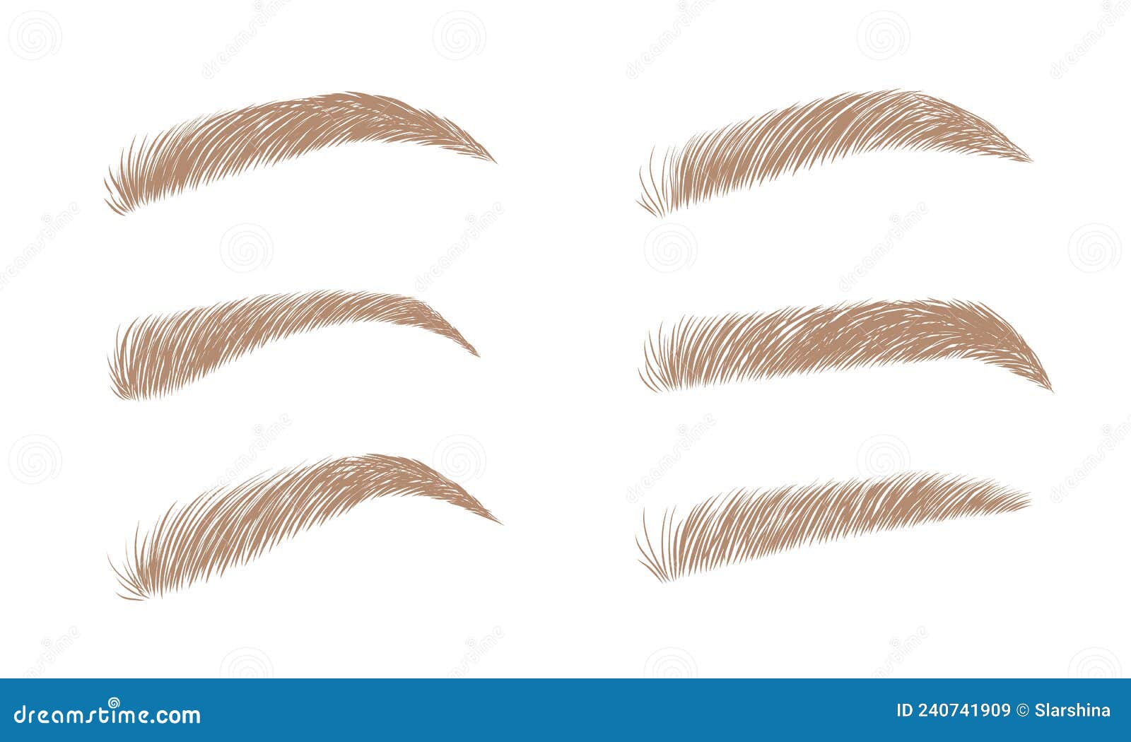 set of blonde eyebrows in different s. linear   in trendy minimalist style. brow bar logo