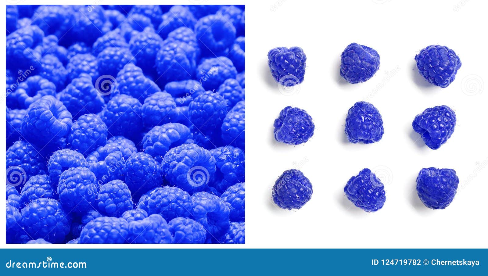set with blue raspberries rubus leucodermis