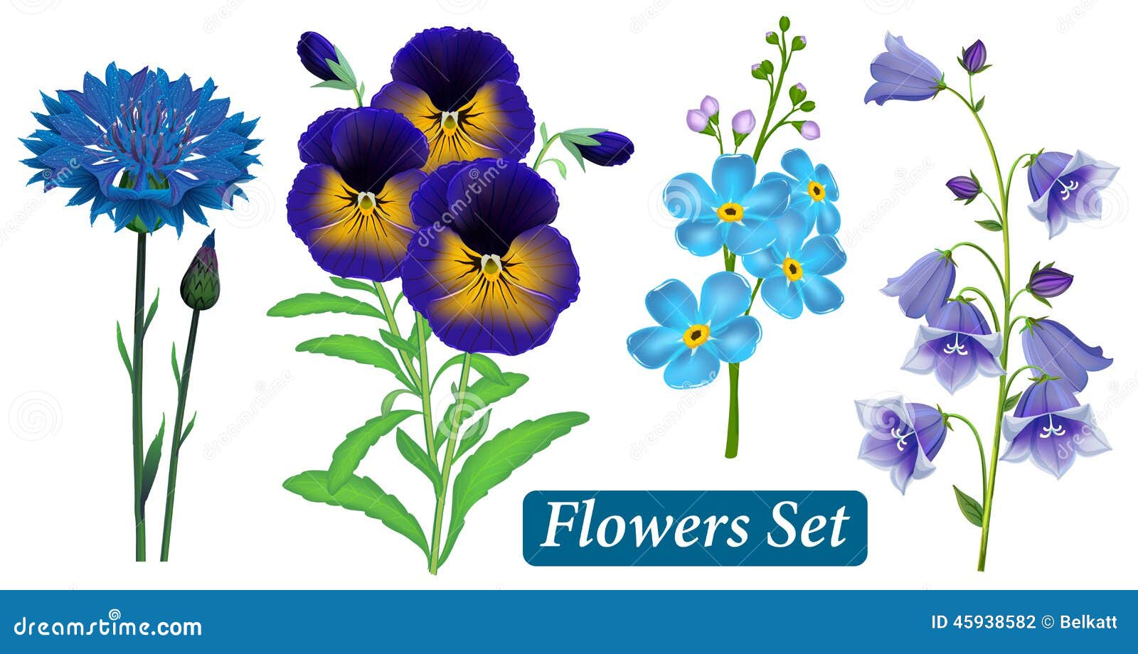 Forget Me Not Flower Stock Illustrations – 4,121 Forget Me Not Flower Stock  Illustrations, Vectors & Clipart - Dreamstime