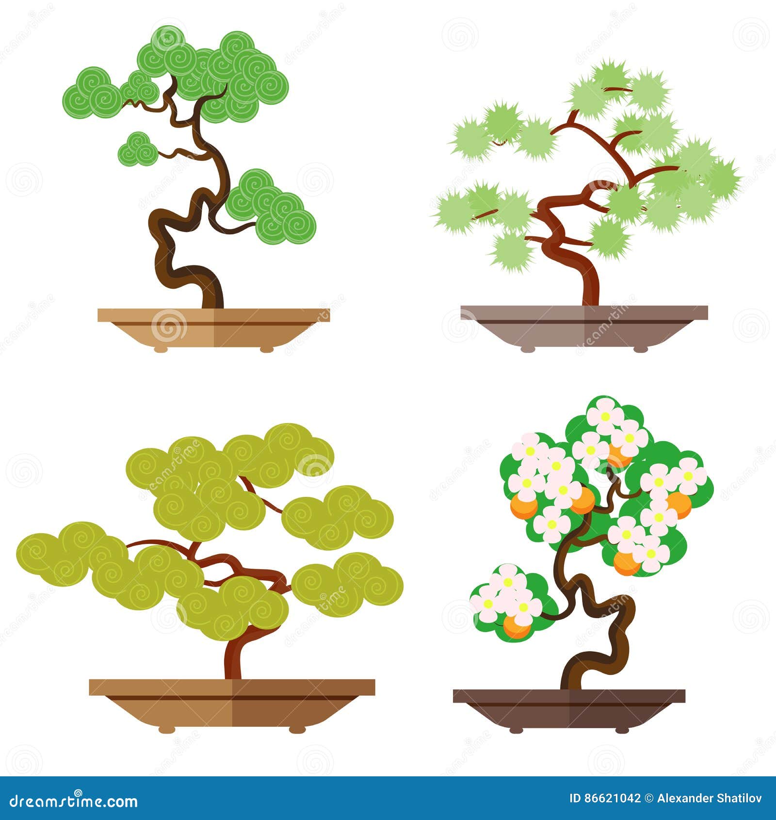 Set de culture de bonsaï, Culture