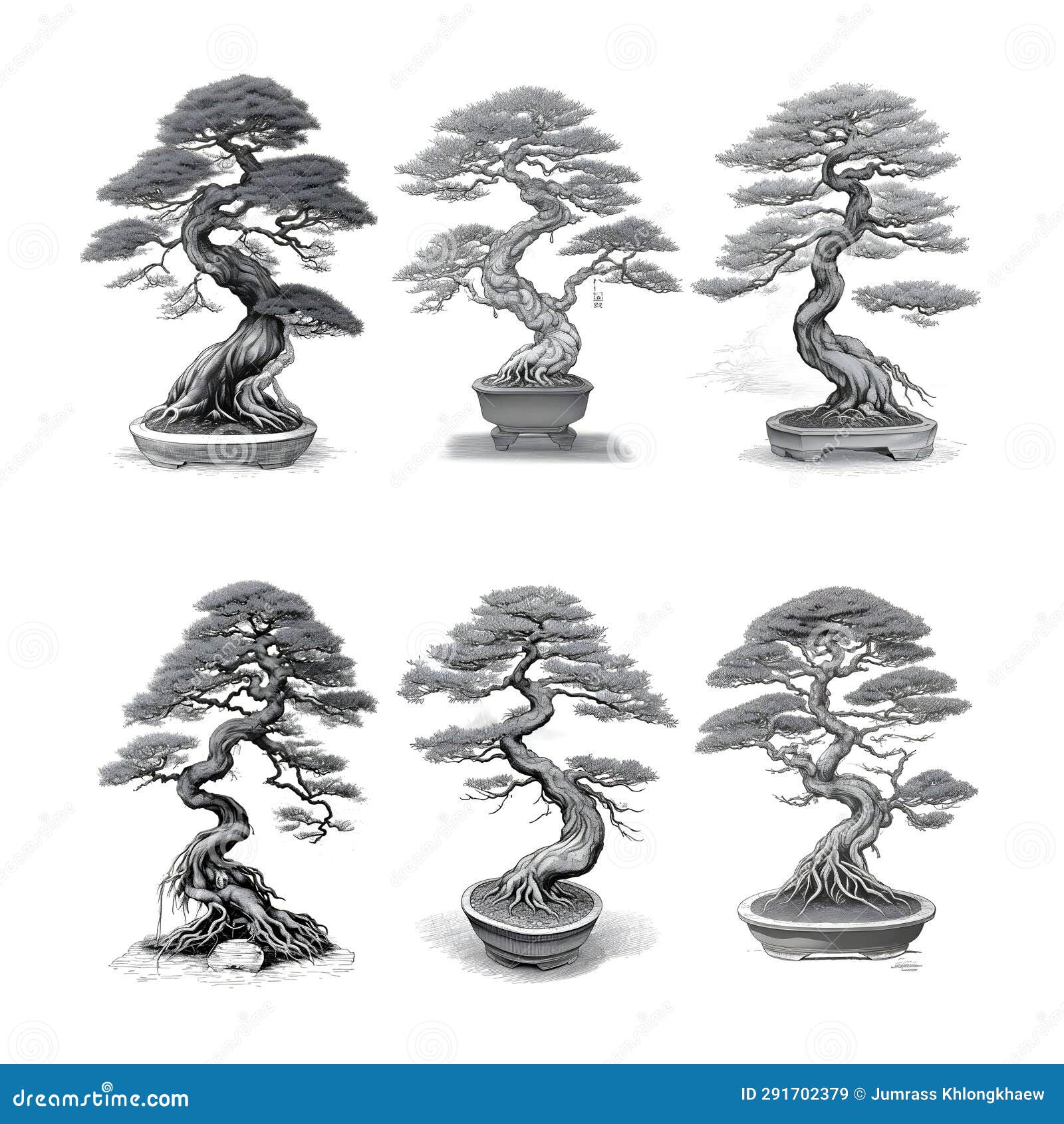 Set of Bonsai Plants Hand Drawn.Bonsai Collection, Minitrees in