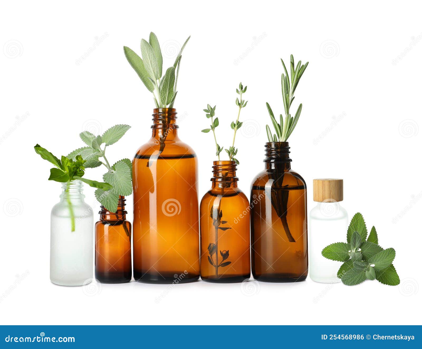 Set with Bottles of Different Essential Oils and Leaves on White