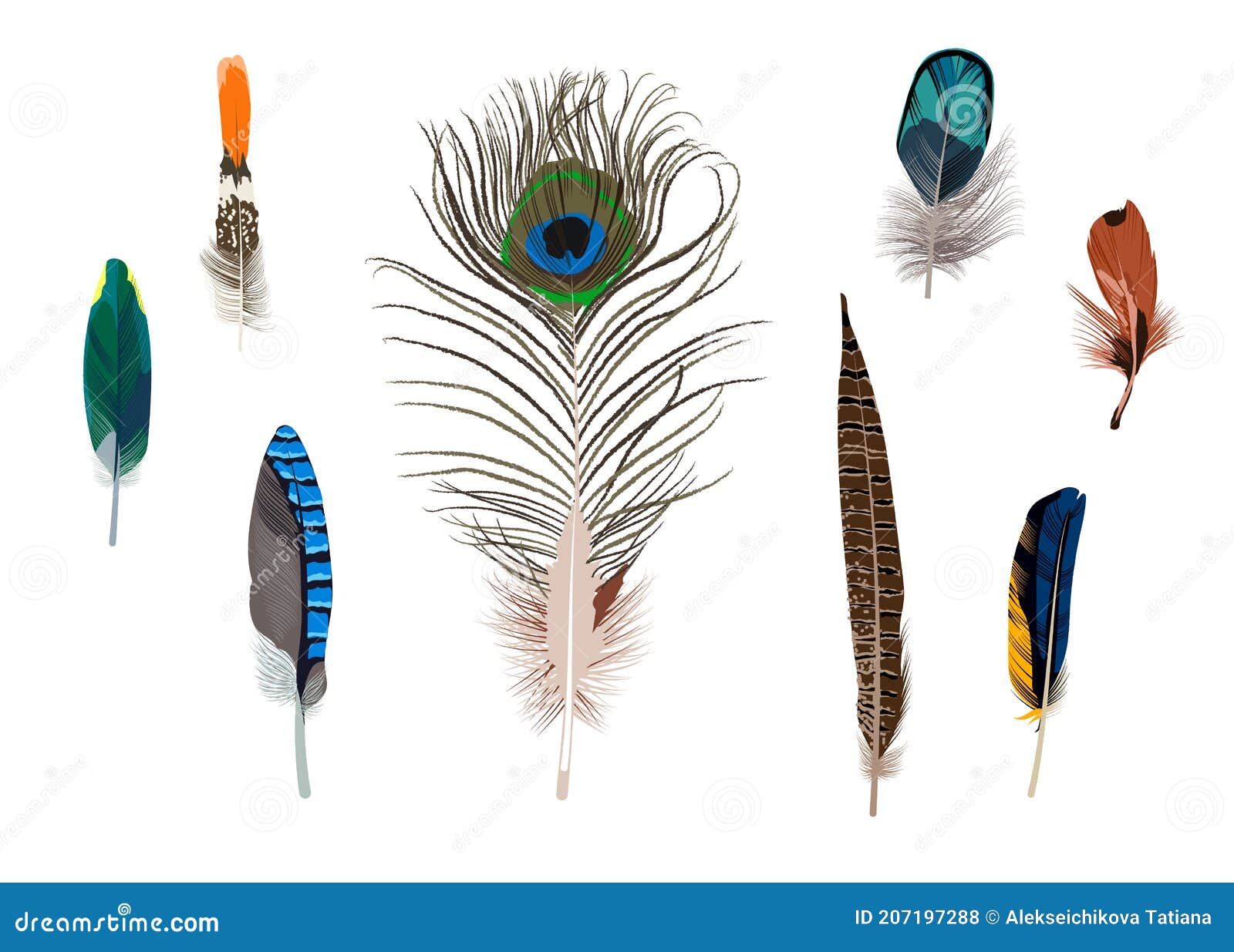 456,676 Bright Bird Feathers Royalty-Free Images, Stock Photos