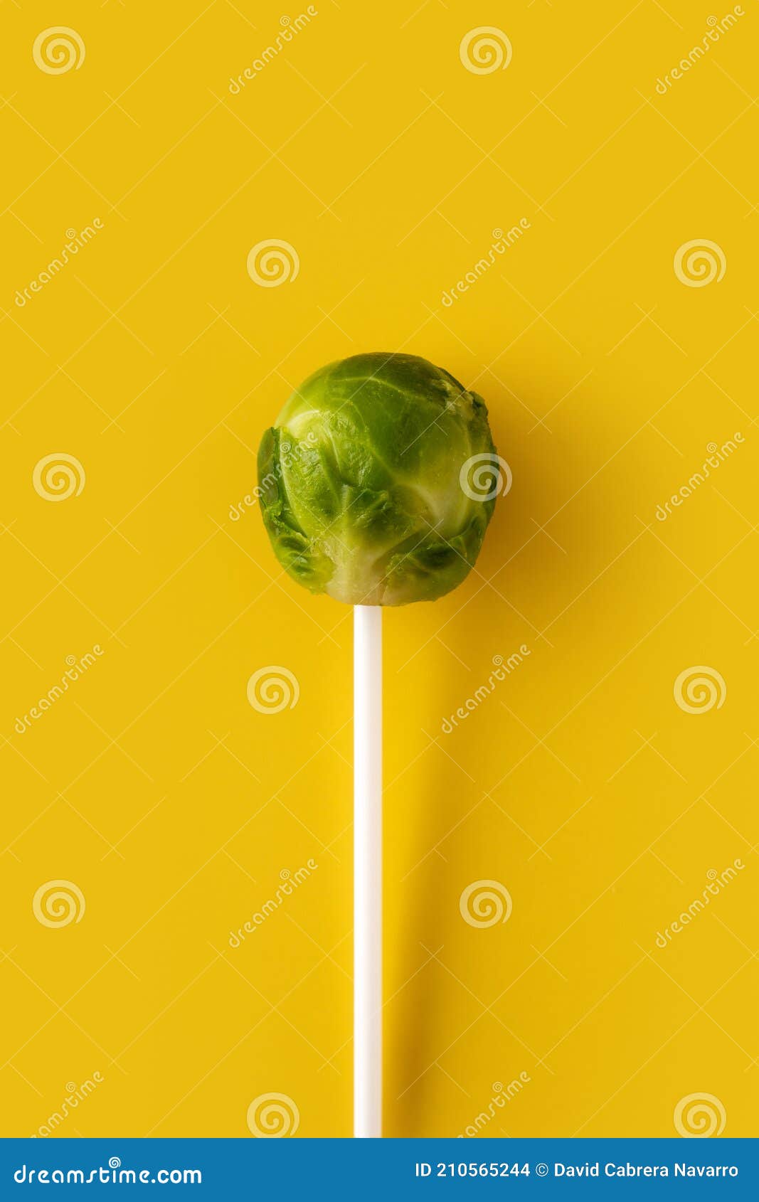 Set of Brussel Sprouts with Lollipop Sticks Stock Photo Image of