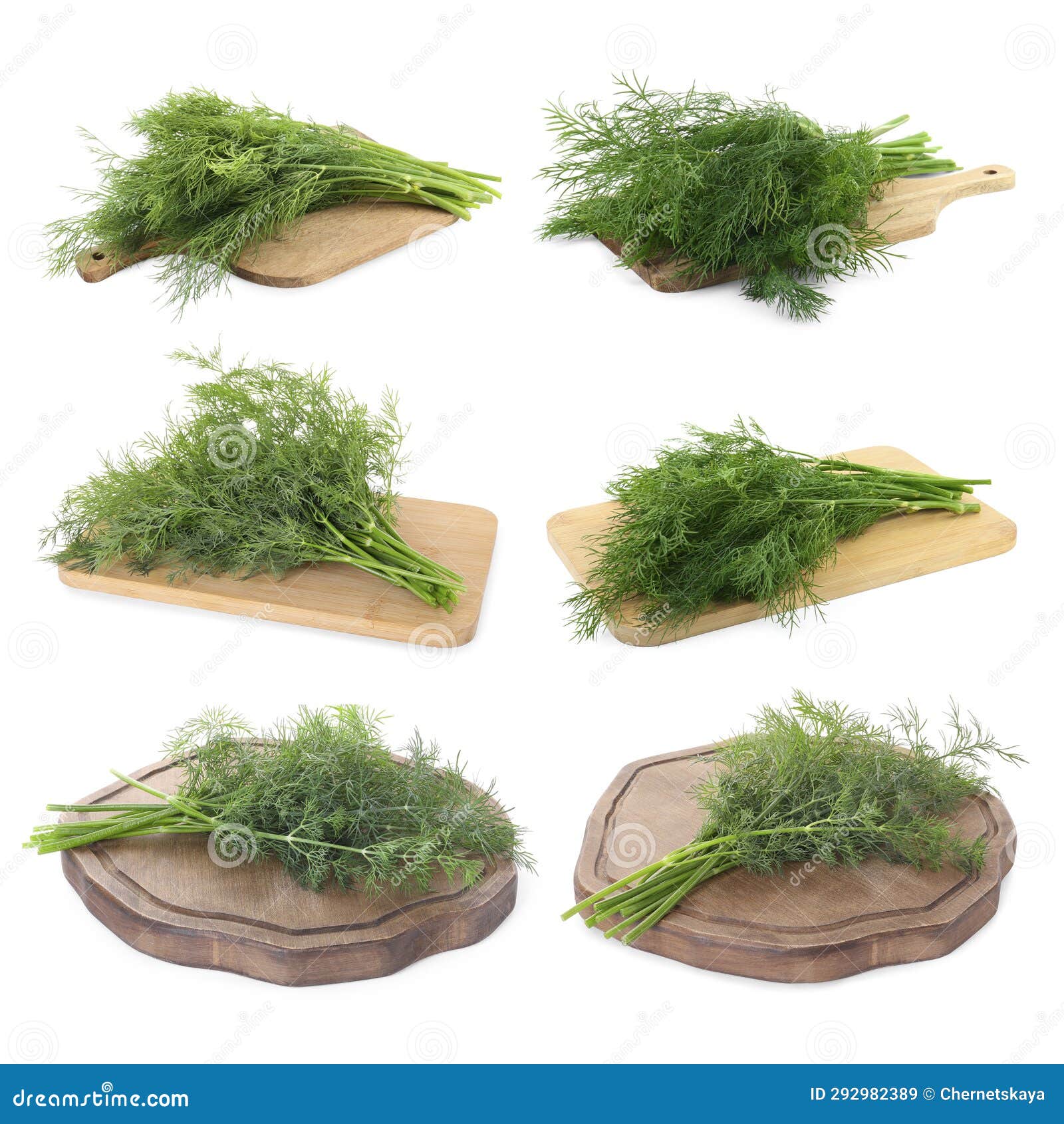 Set with Bunches of Fresh Dill Isolated on White Stock Image Image of