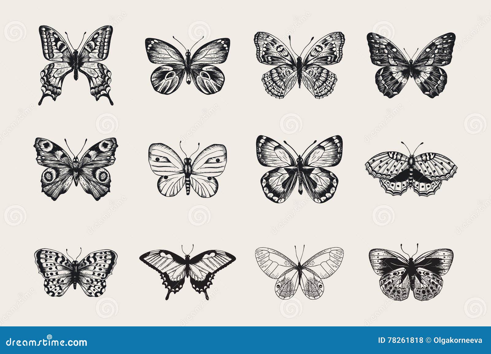 Free Free 180 Vintage Butterfly Svg SVG PNG EPS DXF File