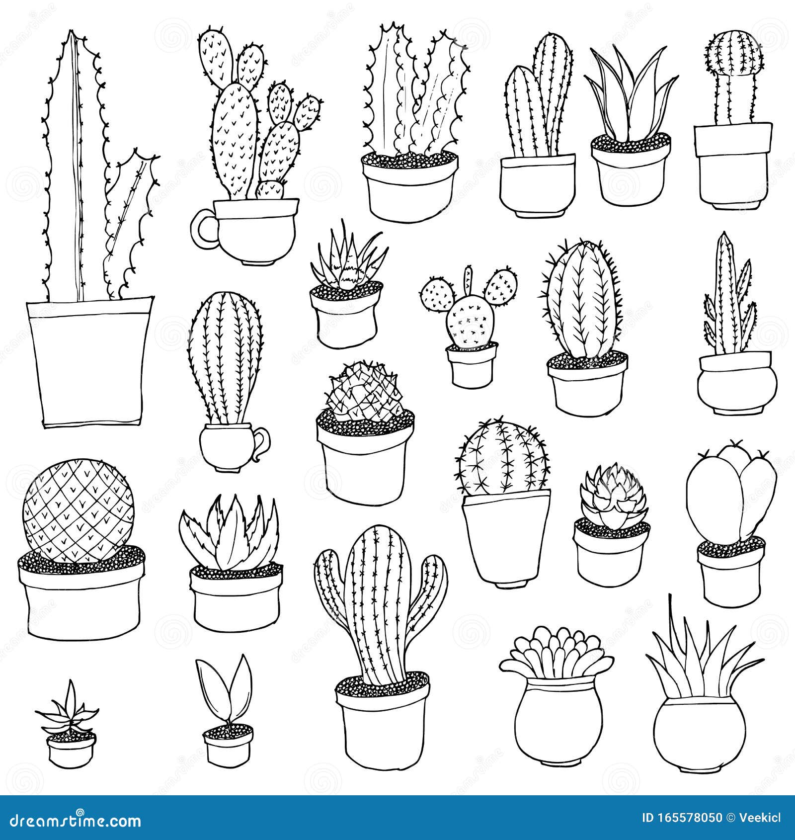 Hand Drawn Cactus Design Vector Download