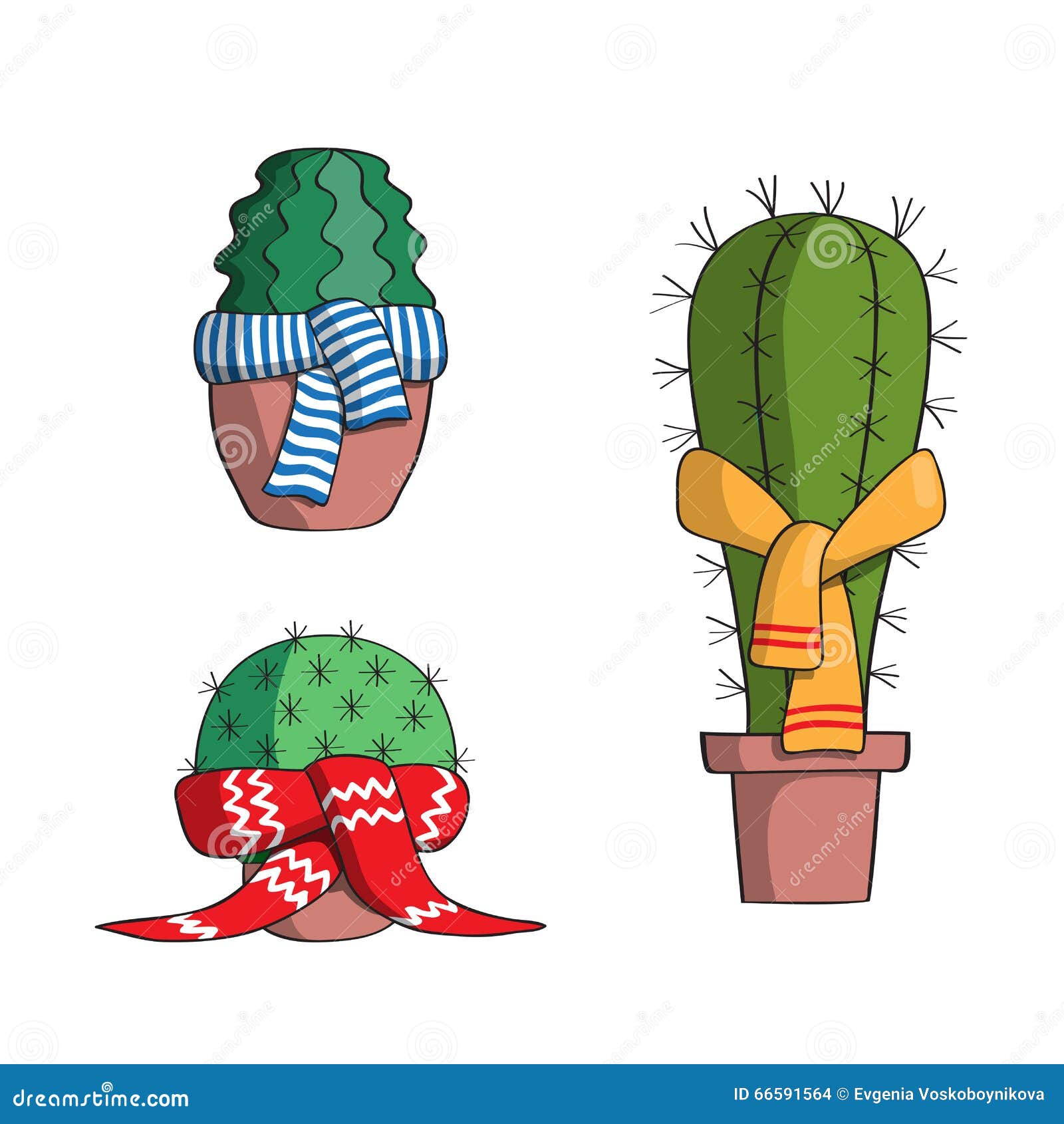 Set the Cactus in the Scarves. Stock Vector - Illustration of nature ...