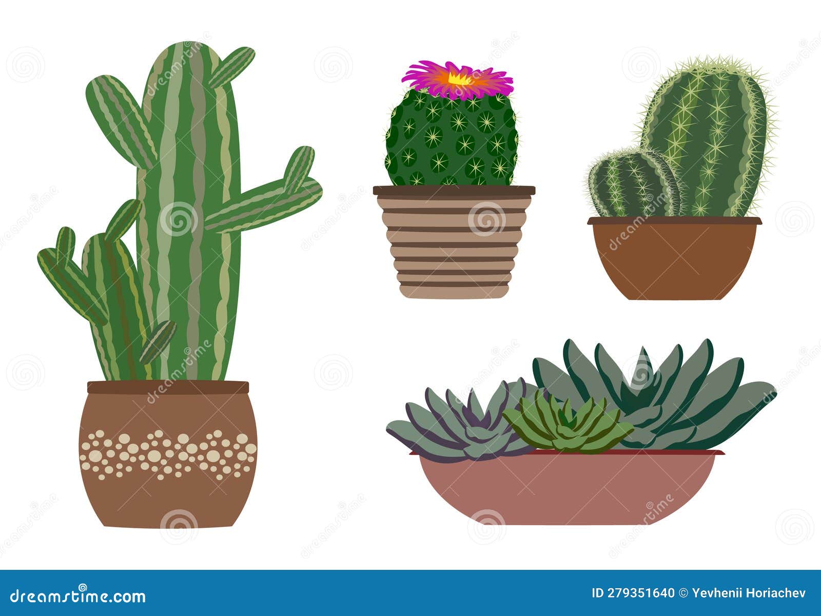 Set of Cactus and Succulents House Plants in Pots. Stock Vector