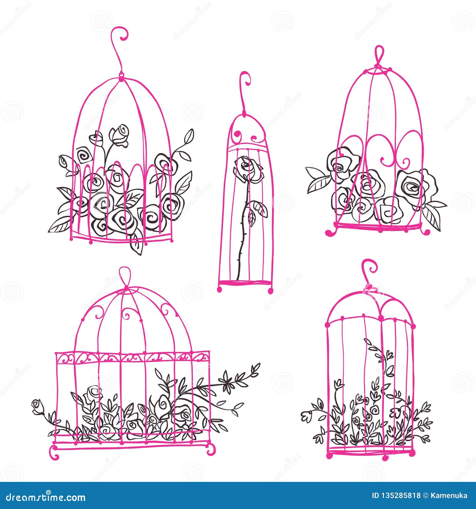 Set Of Decorative Cages With Flowers, Vector Line Art CartoonDealer