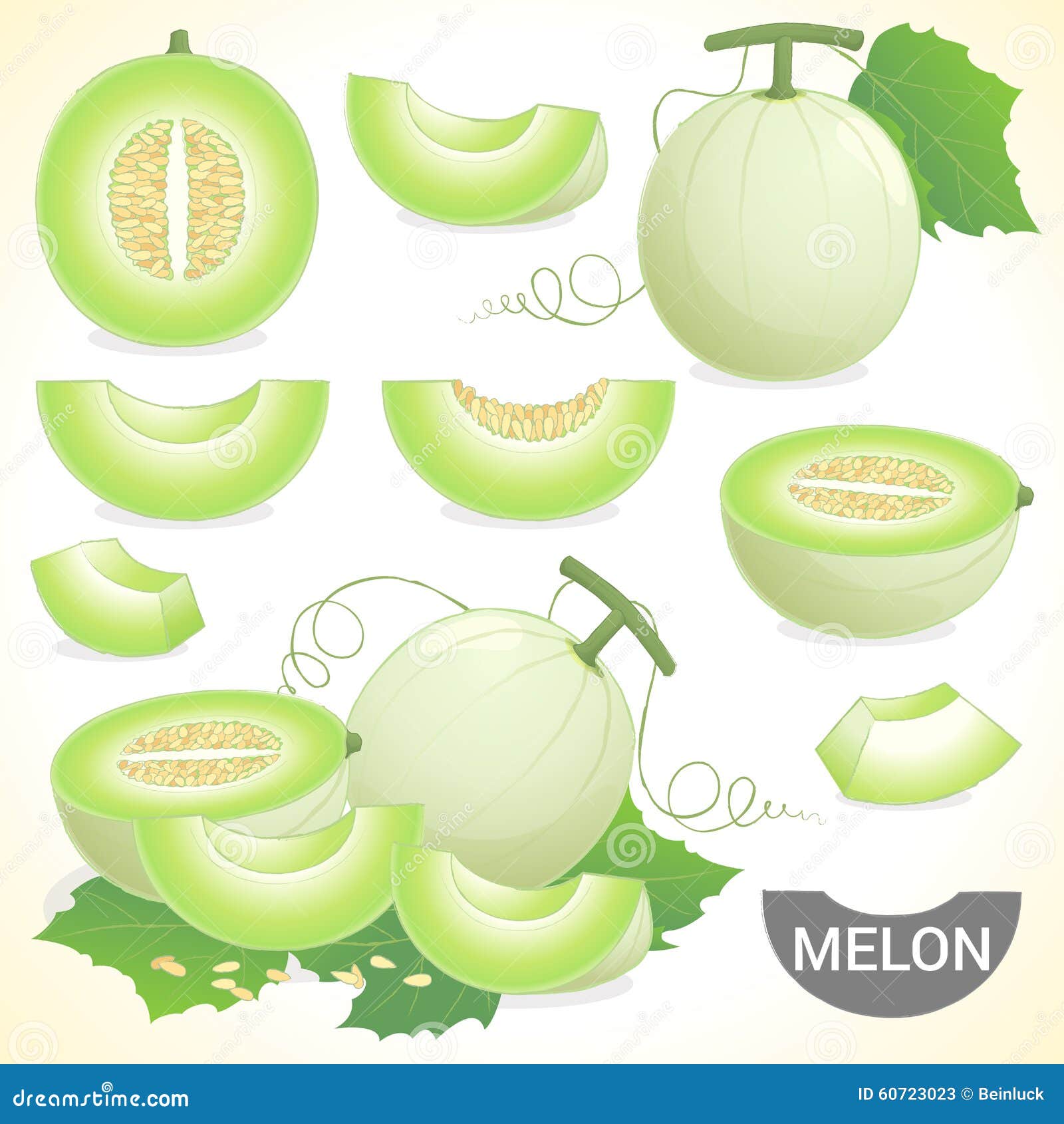 Honeydew Stock Illustrations – 3,060 Honeydew Stock Illustrations, Vectors  & Clipart - Dreamstime