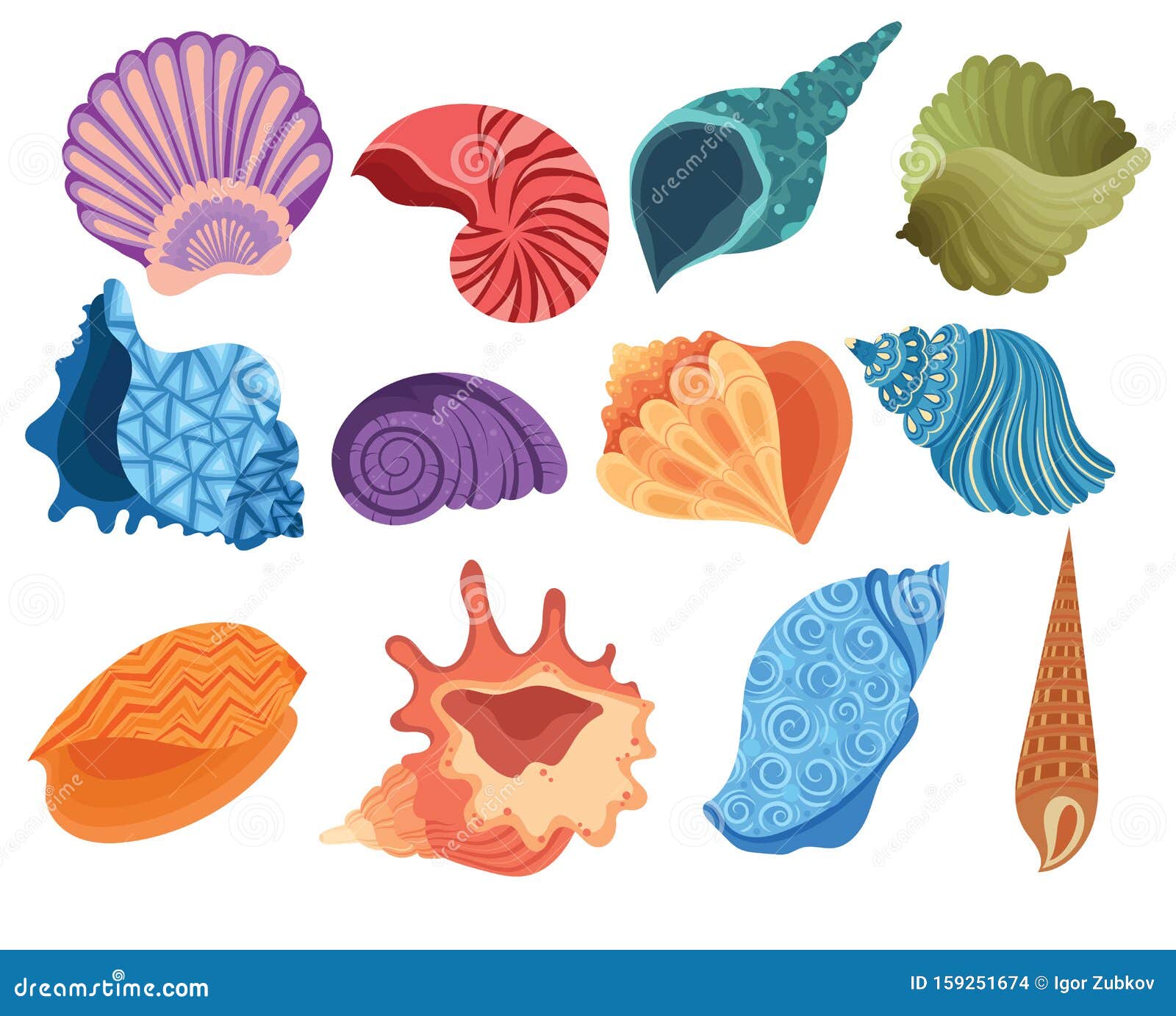 set of cartoon seashells. a collection of sea shells with pearls.   of mollusks. drawing for children.