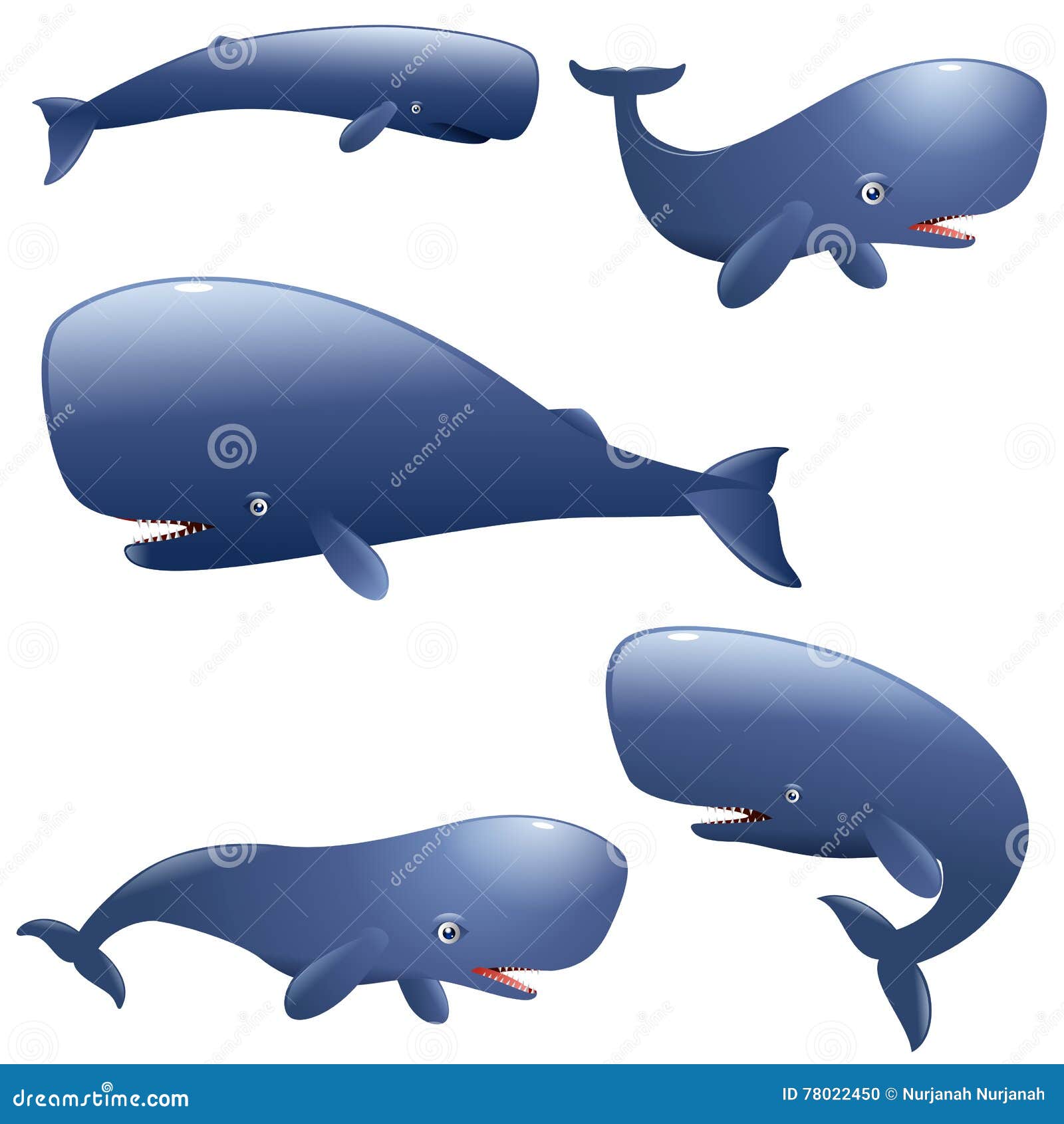 Set of Cartoon Sperm Whales Stock Vector - Illustration of funny, cartoon:  78022450