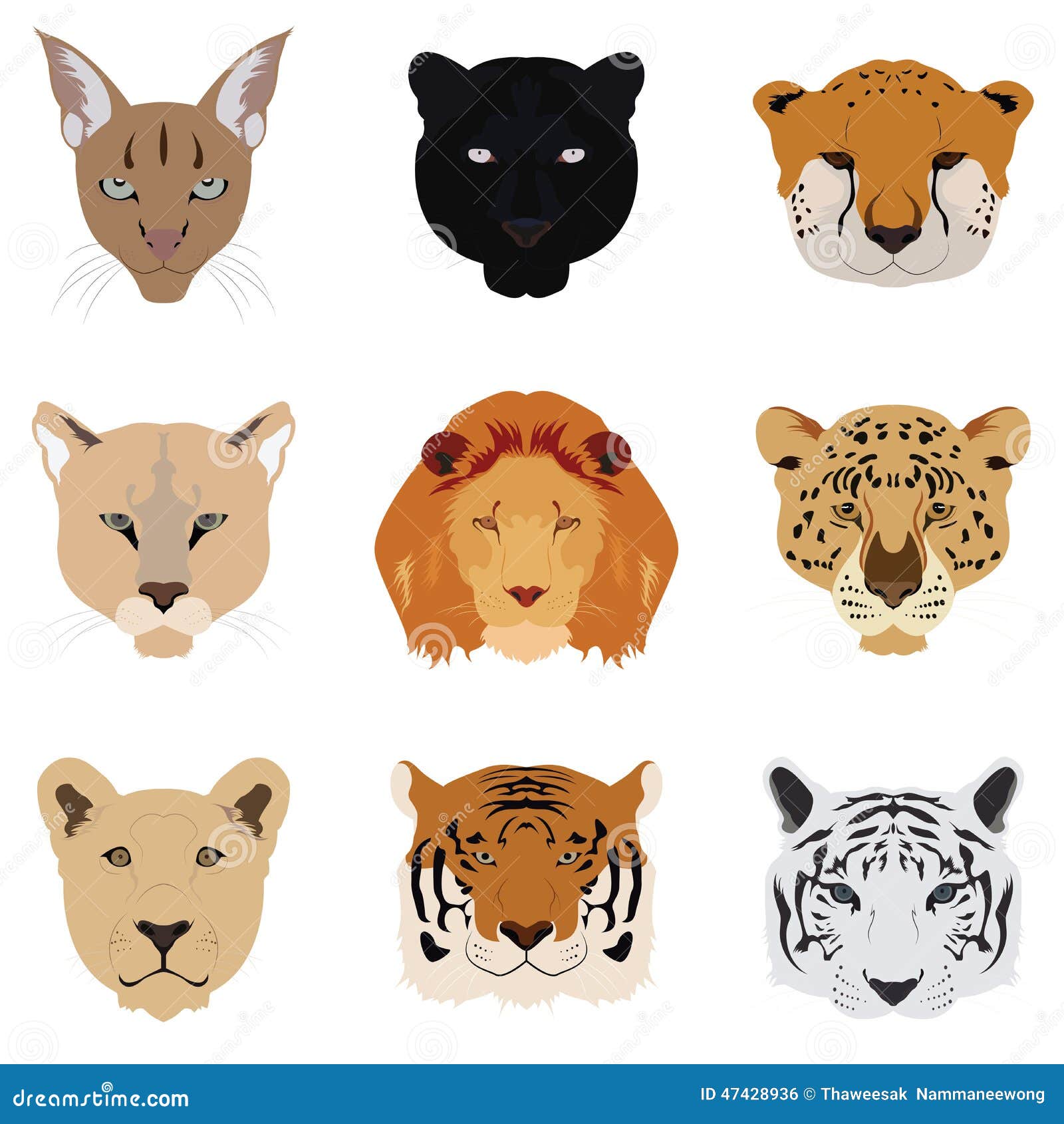 Set of Cat Tiger and Lion Vector and Icon Stock Vector ...