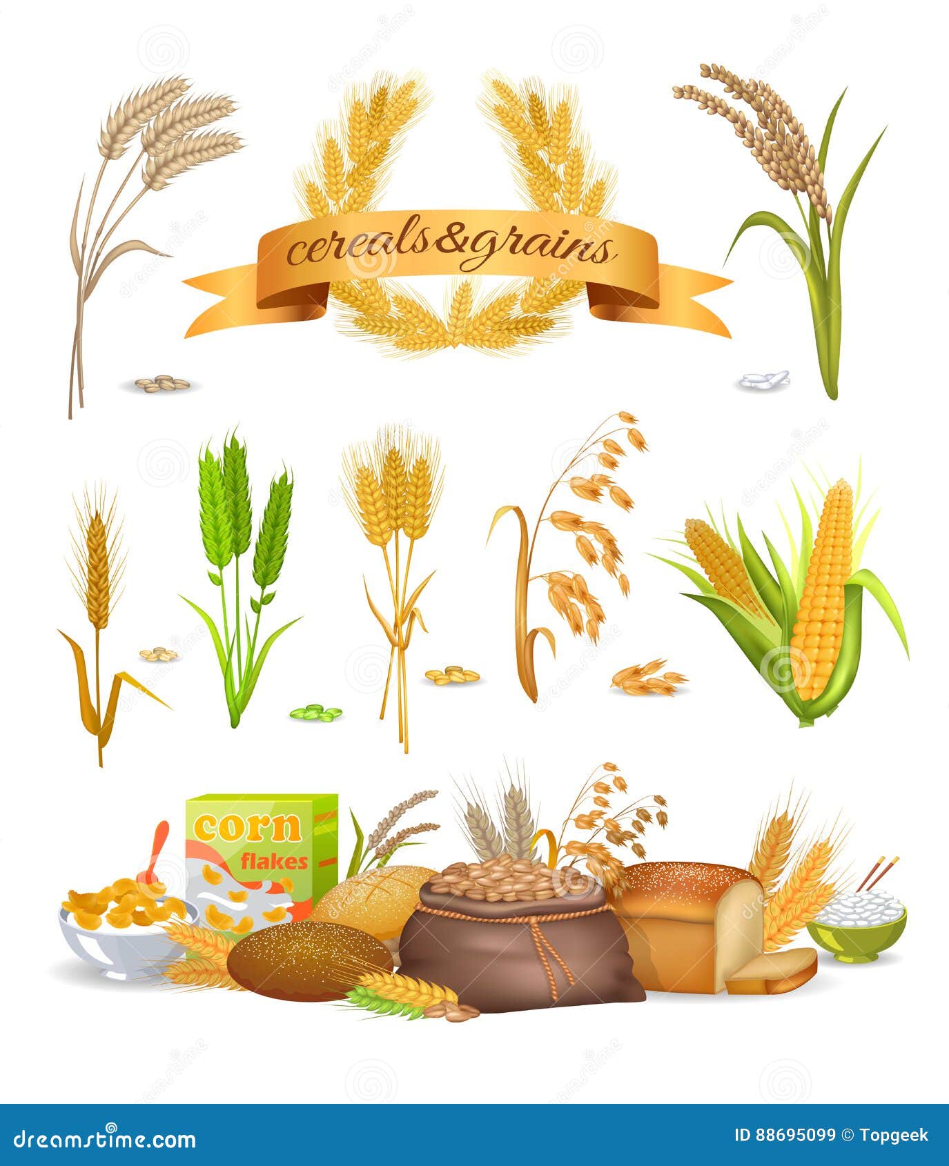 set of cereals and grains on white background