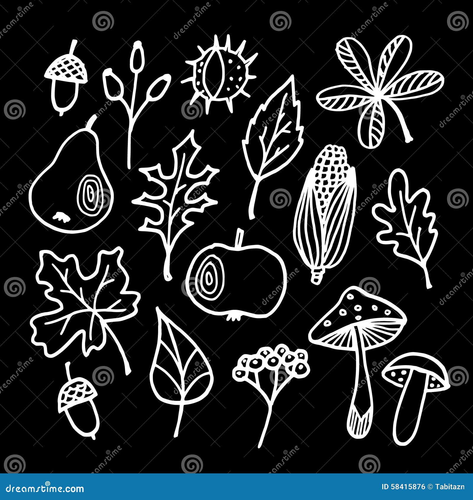 set chalk autumn fall elements various leaves apple pear acorn mushrooms blackboard isolated sketches 58415876