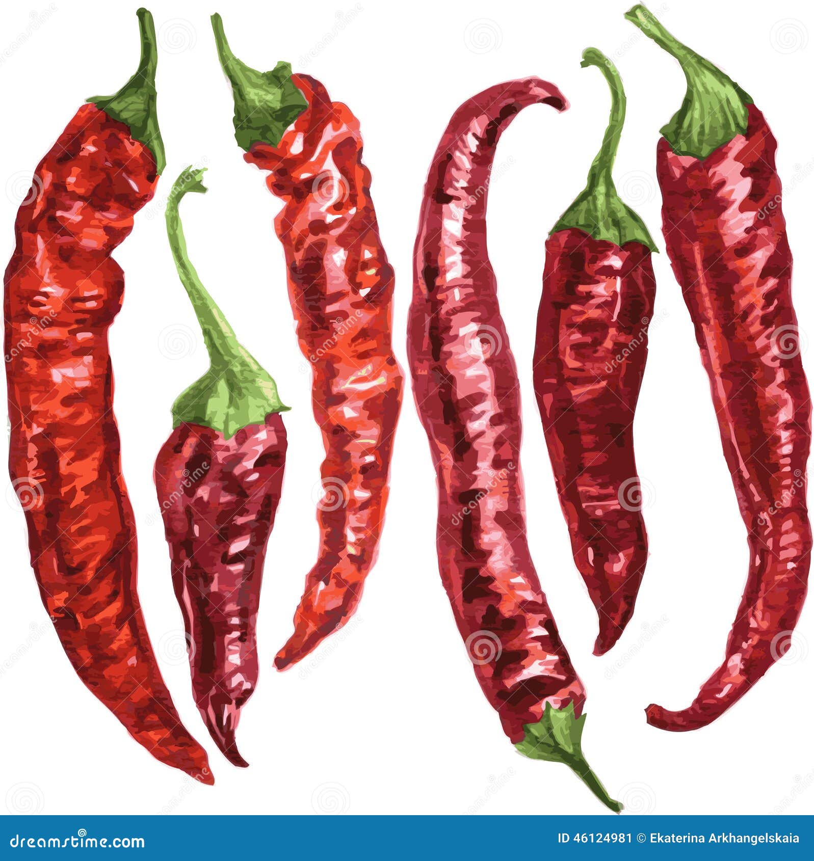Set of chili pepper stock vector. Illustration of gourmet - 46124981