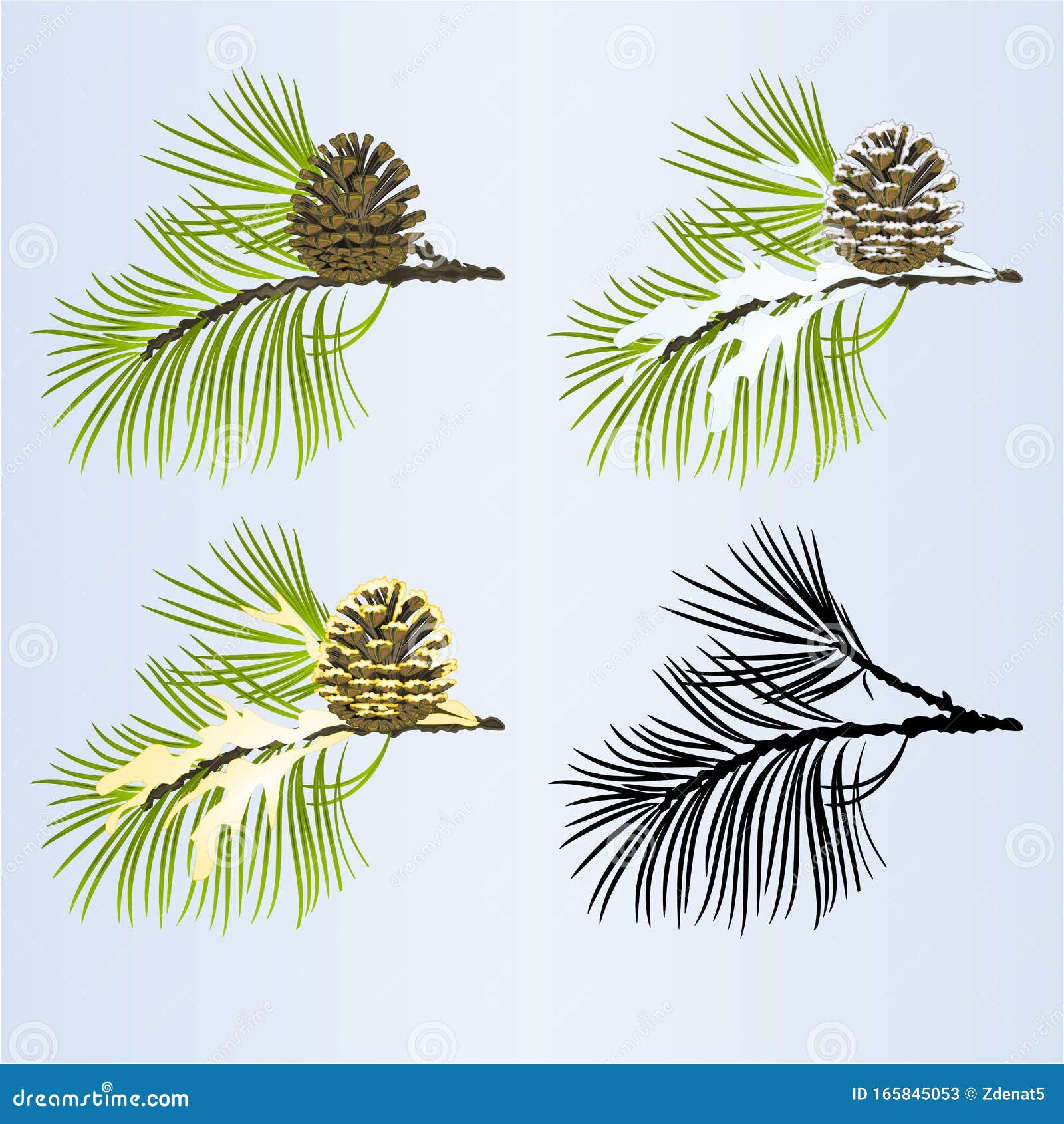 Set Of Various Pine And Firtree Evergreen Branches And Cones On