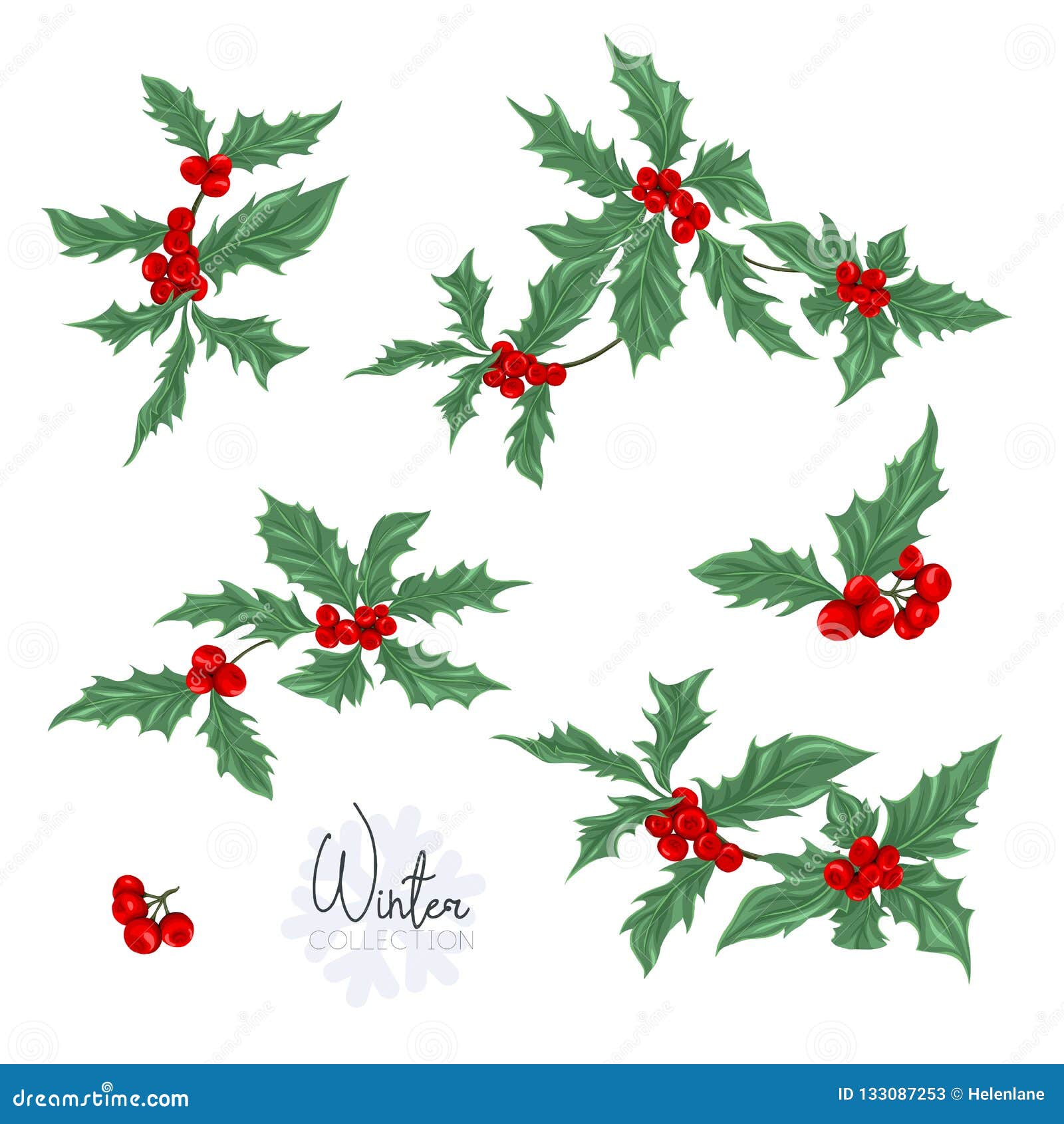 Set with a christmas plant stock illustration. Illustration of element