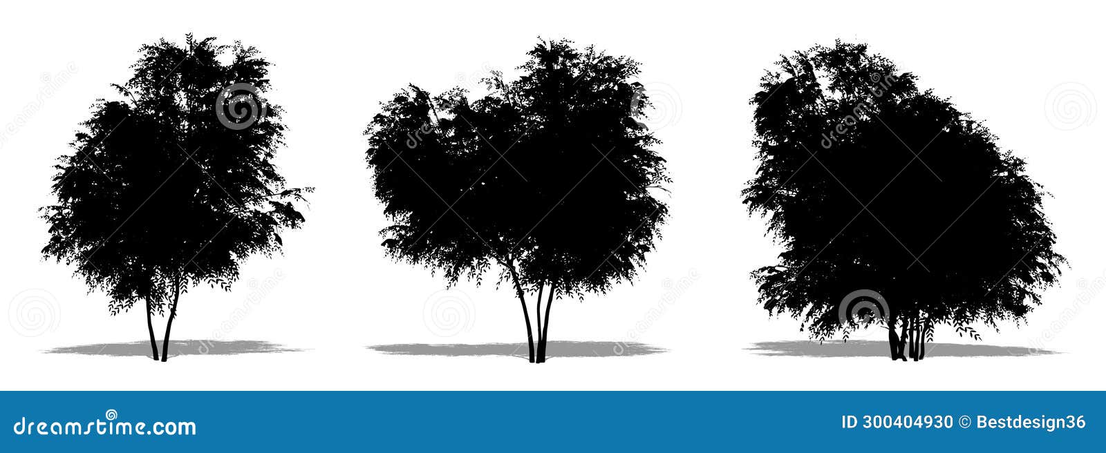 set or collection of black elder trees as a black silhouette on white background. concept or conceptual  for nature, planet