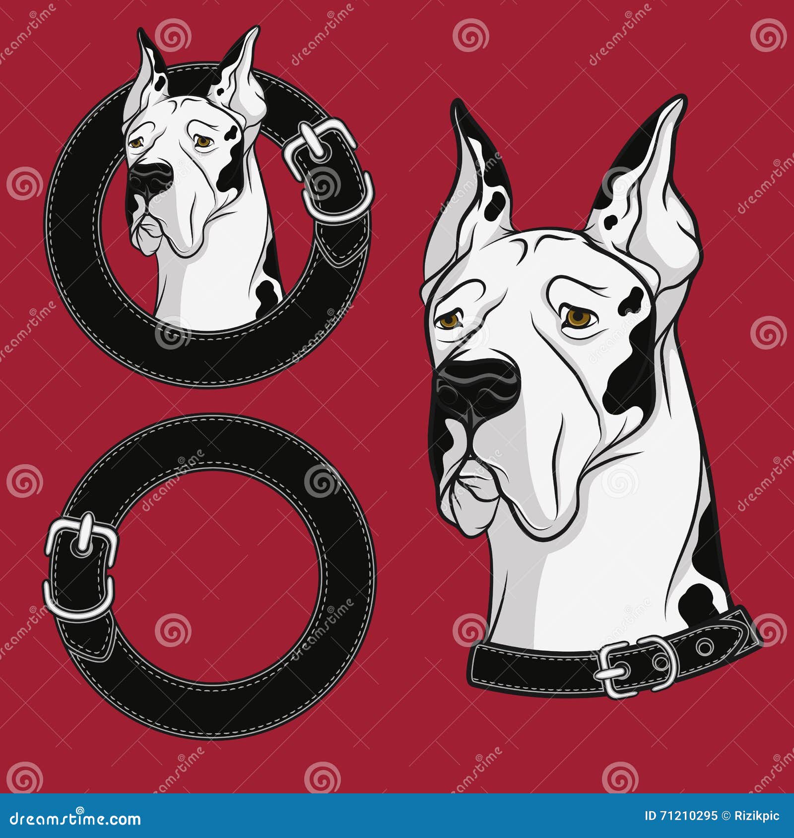 A Set of Color Vector Drawing of the Dog in the Collar. EPS10 Stock