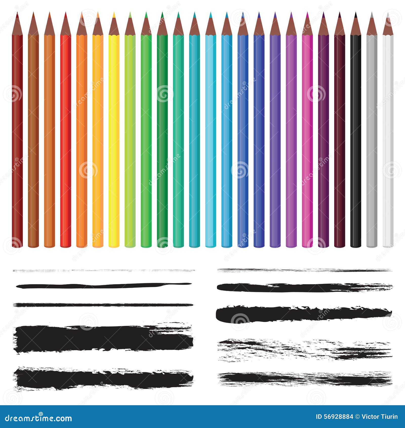 Set of Colored Pencils and Set of Brushes. Stock Vector Illustration