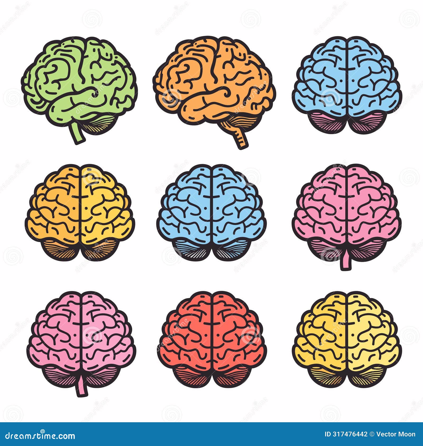 A Colorful Map Of The Brain Showcasing The Different Pathways That Are