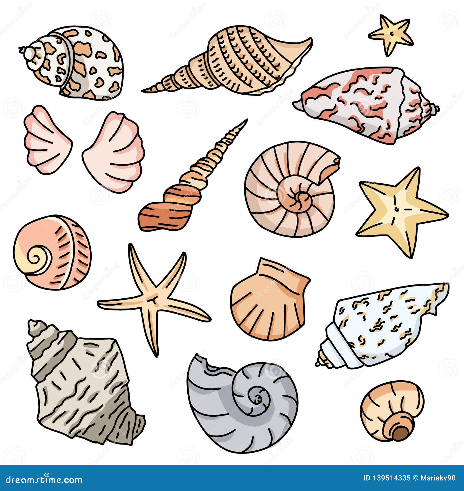 Set of Colorful Starfish Icons, Silhouette Icon of Seashells on White ...