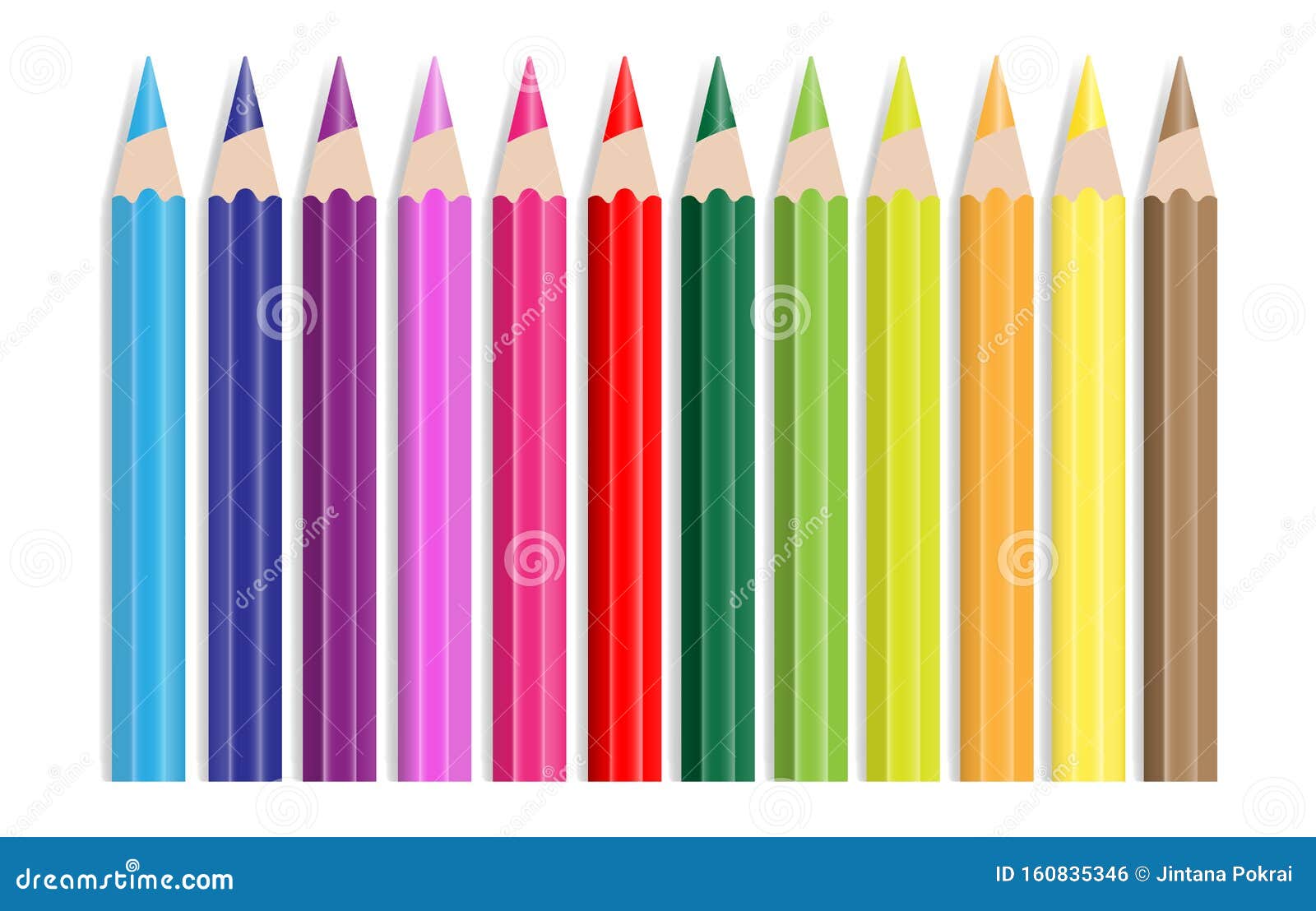 Rows of rainbow colored pencils with erasers Vector Image