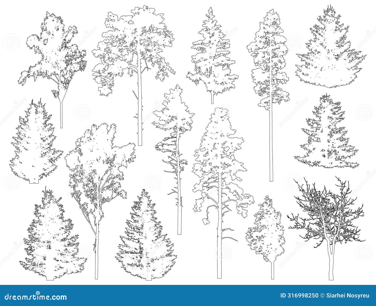 set of coniferous and deciduous trees for architecture and landscape , line drawing, contour.  