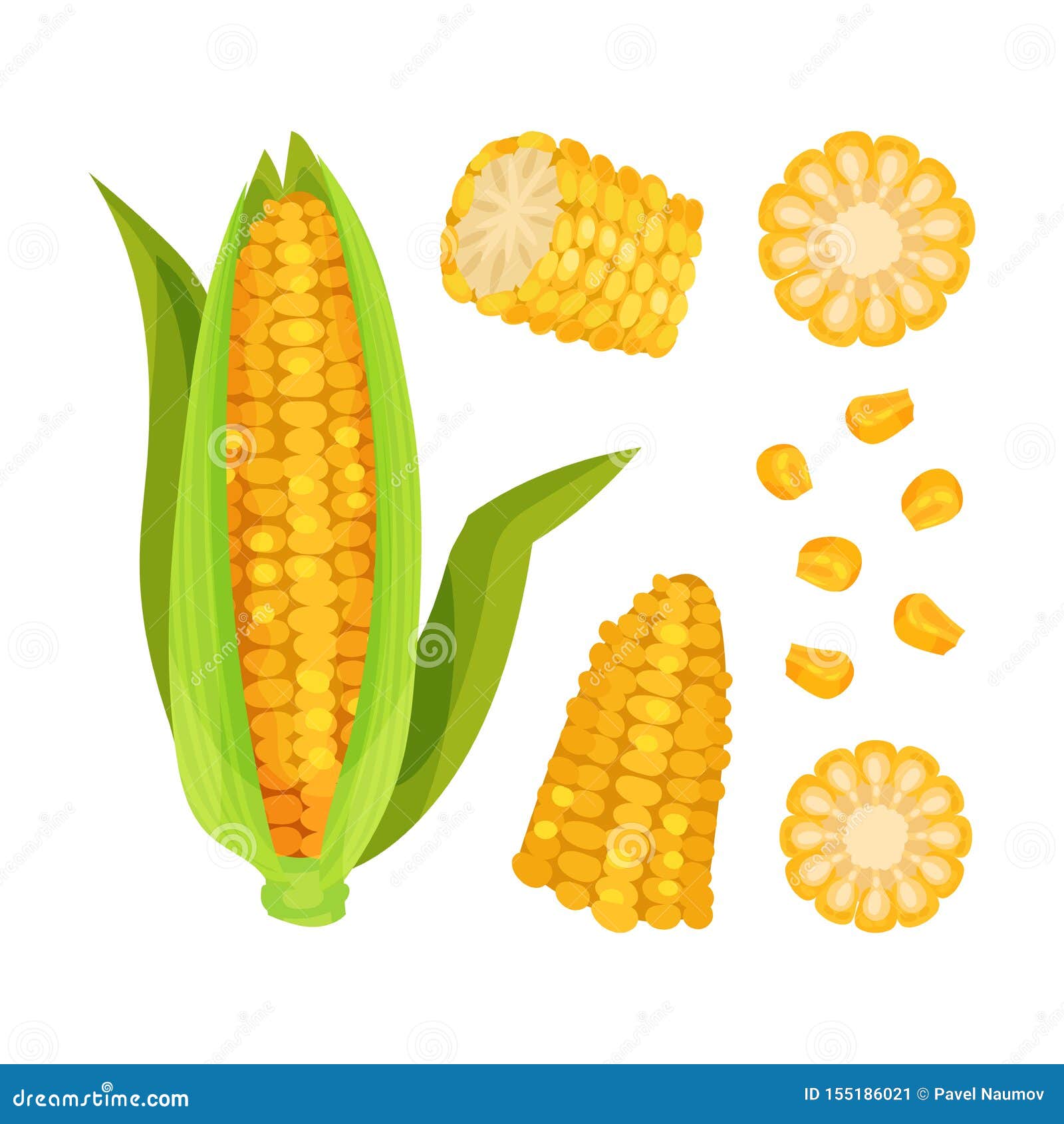 Set of Corn. Vector Illustration on White Background. Stock Vector ...